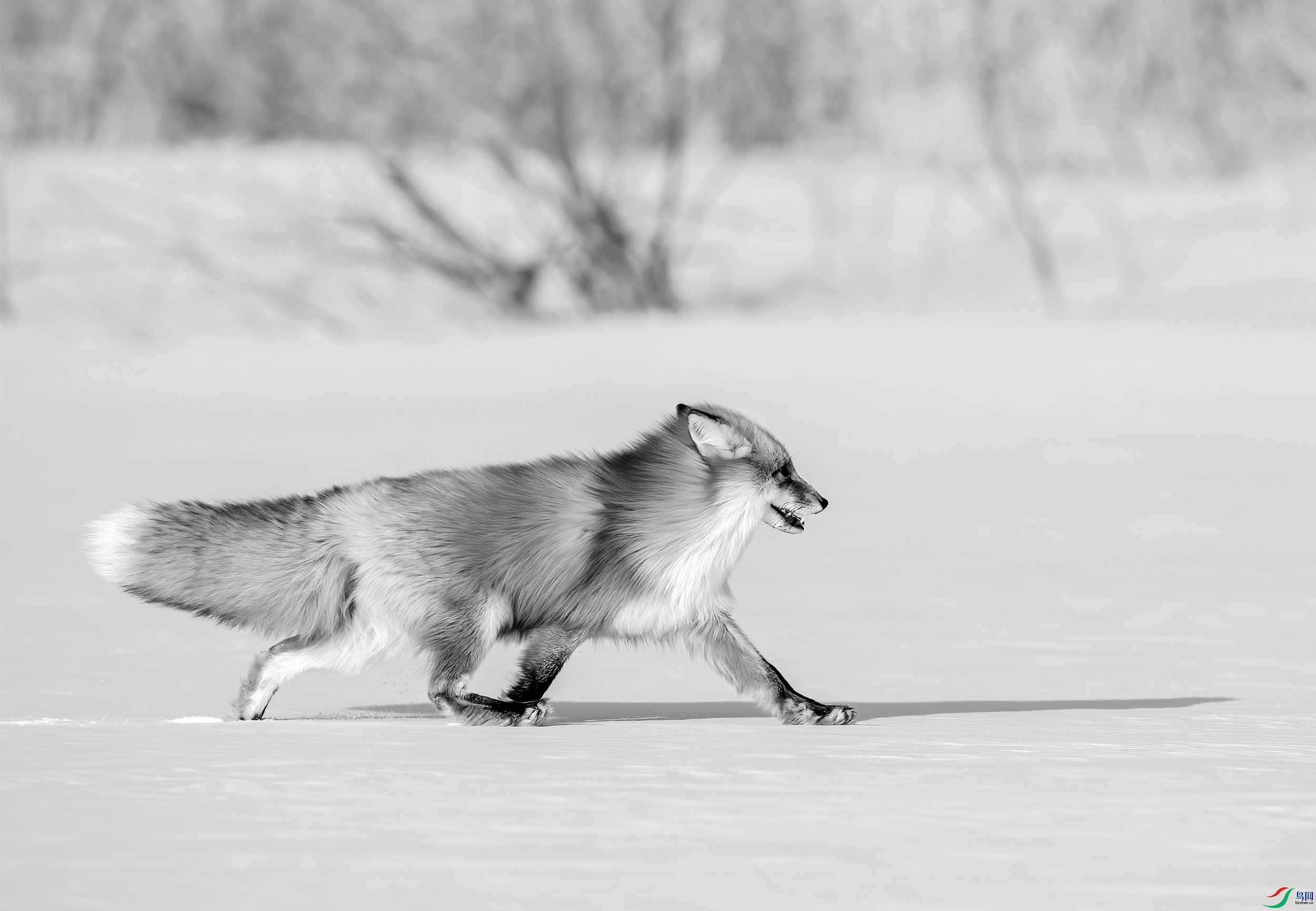 AC3I1649 ����_����.jpg