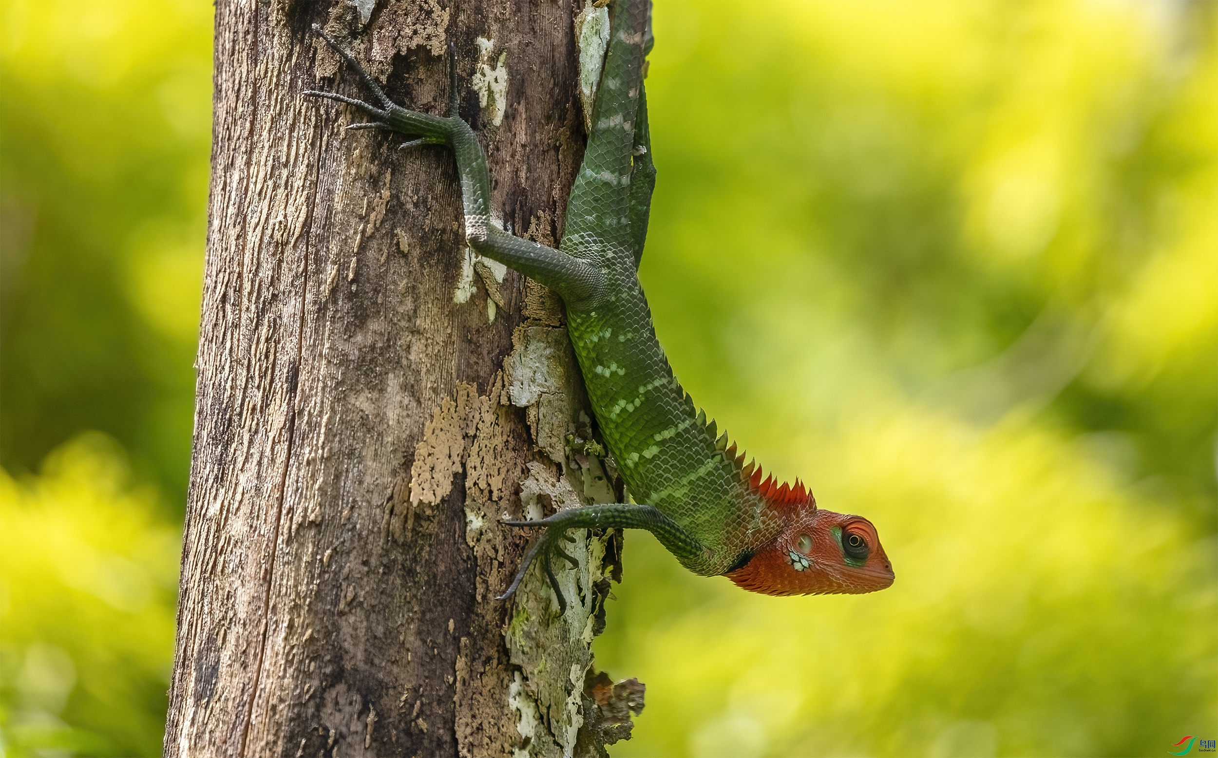 CB0A0130 ����.jpg