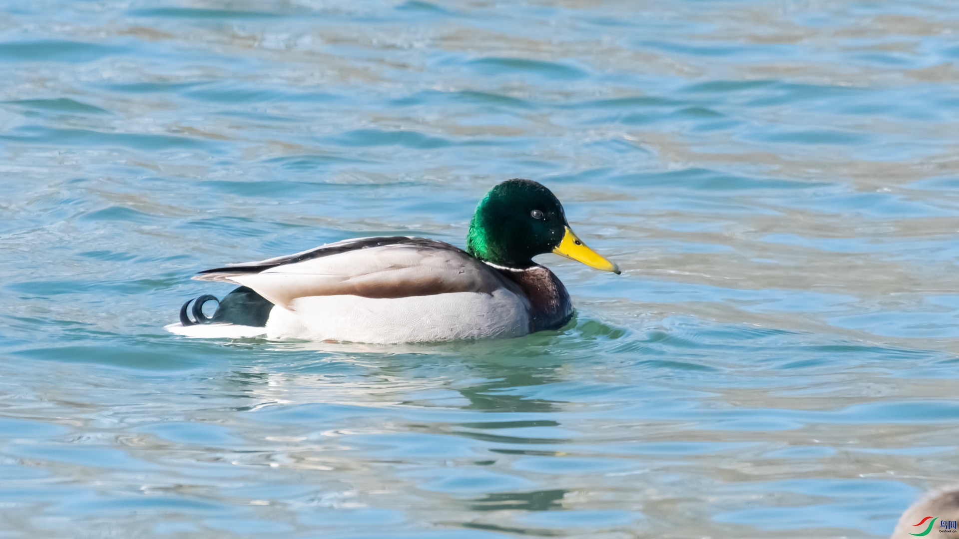 DSC_2718_1.jpg