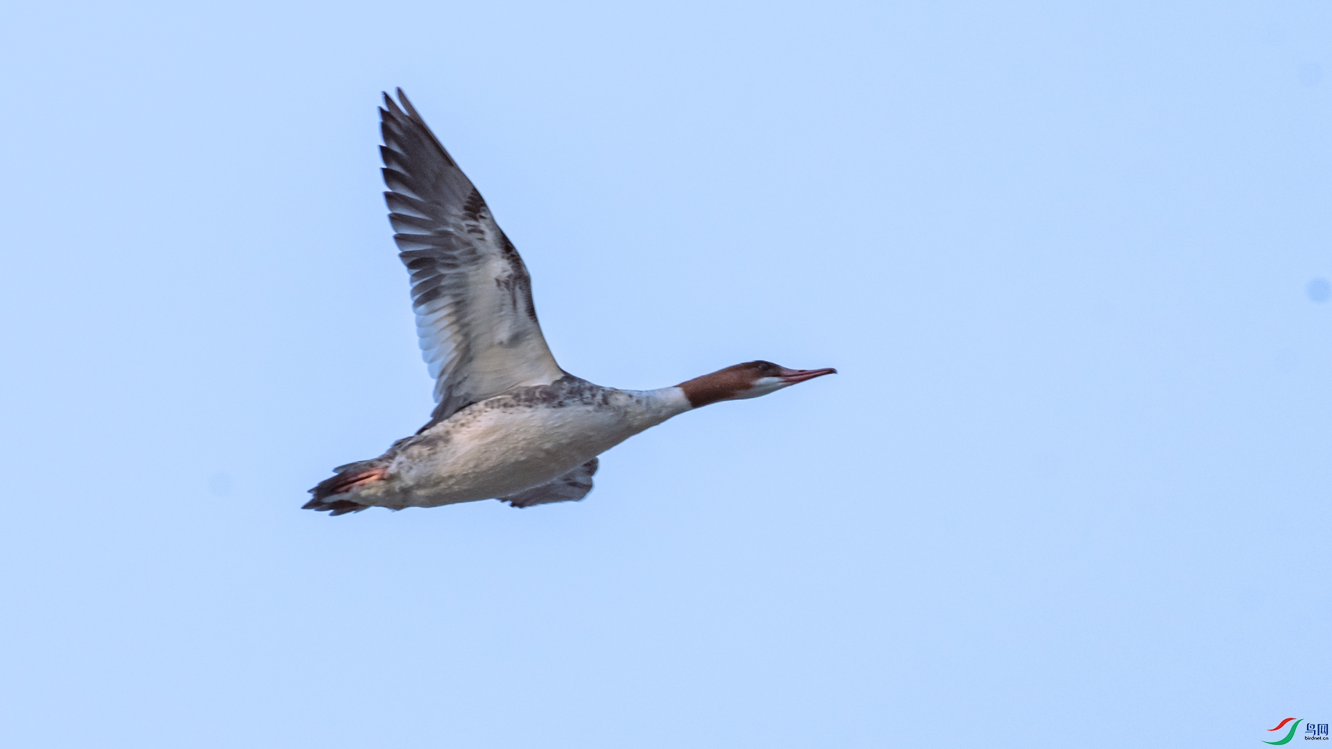 DSC_2759.jpg
