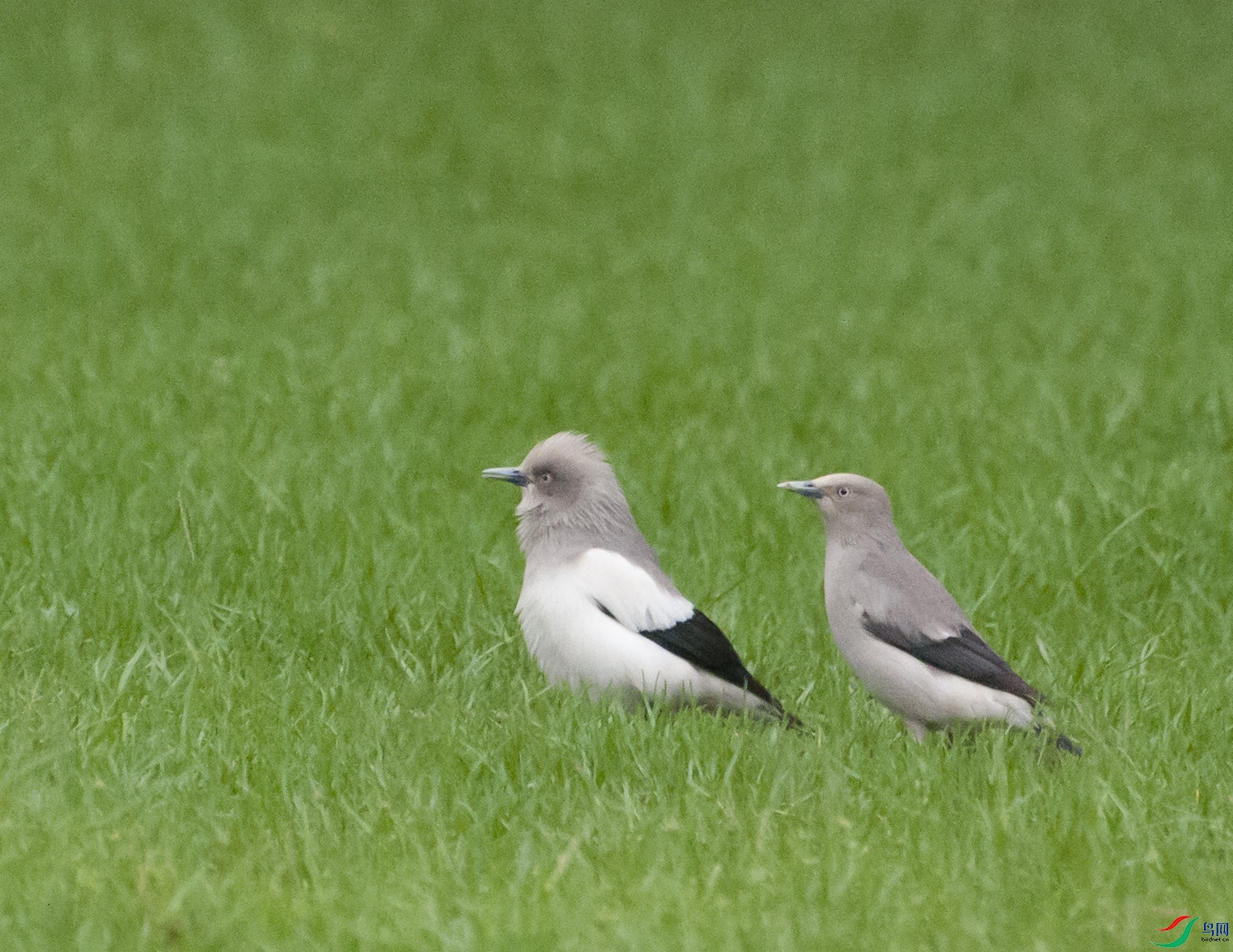 DSC_0124.JPG