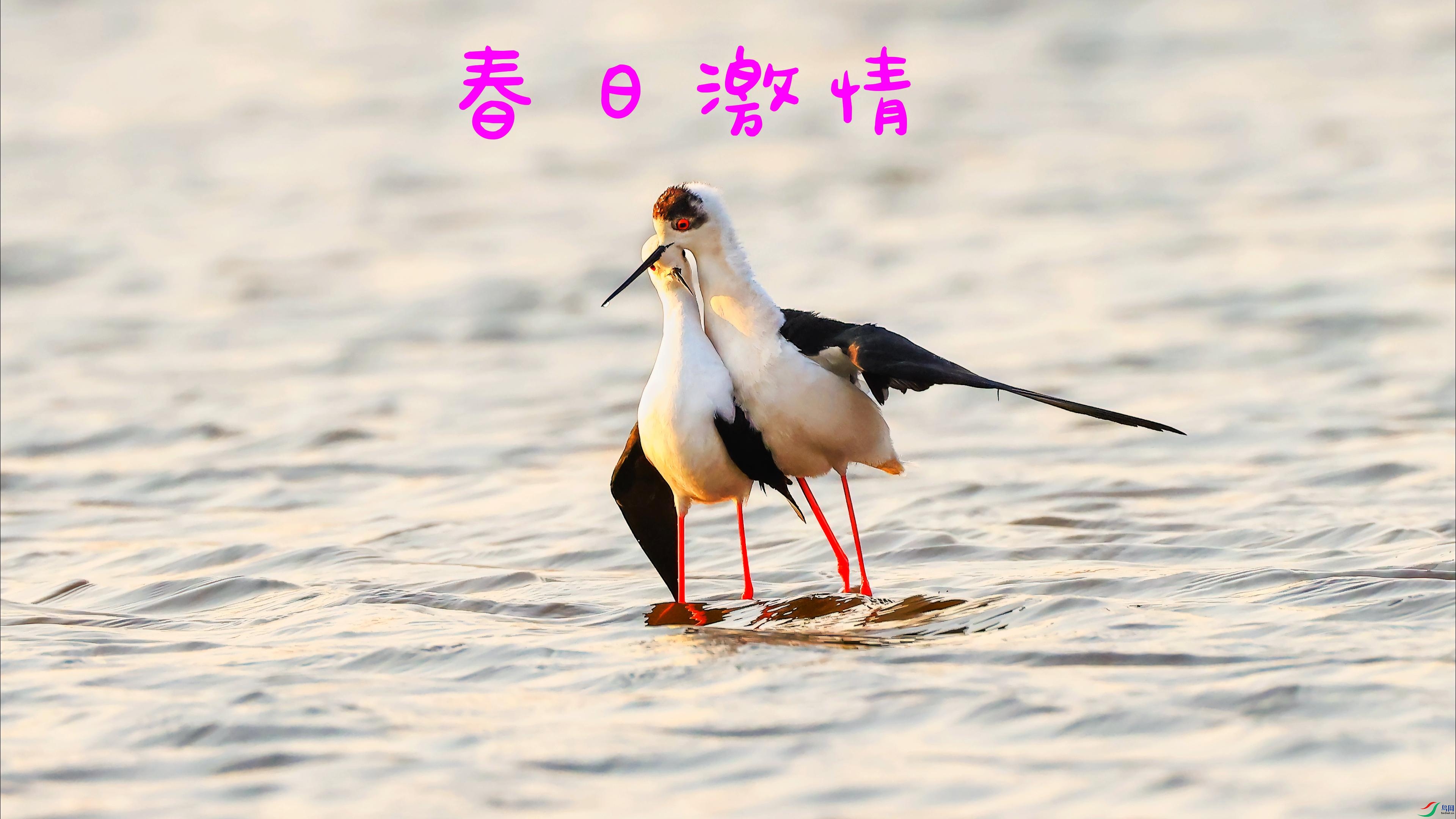 4��30�� (2)-����.jpg