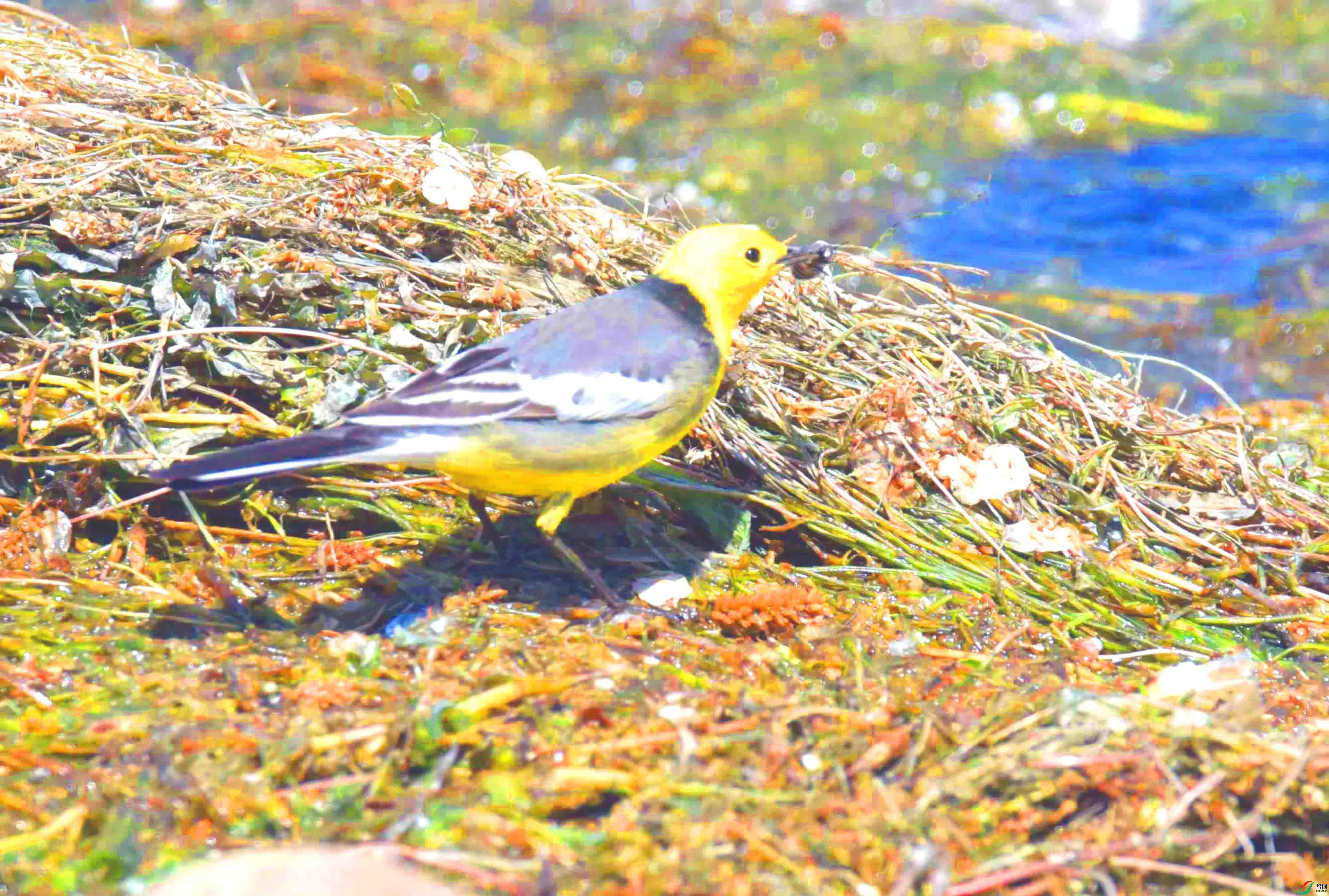 DSC_0341.JPG
