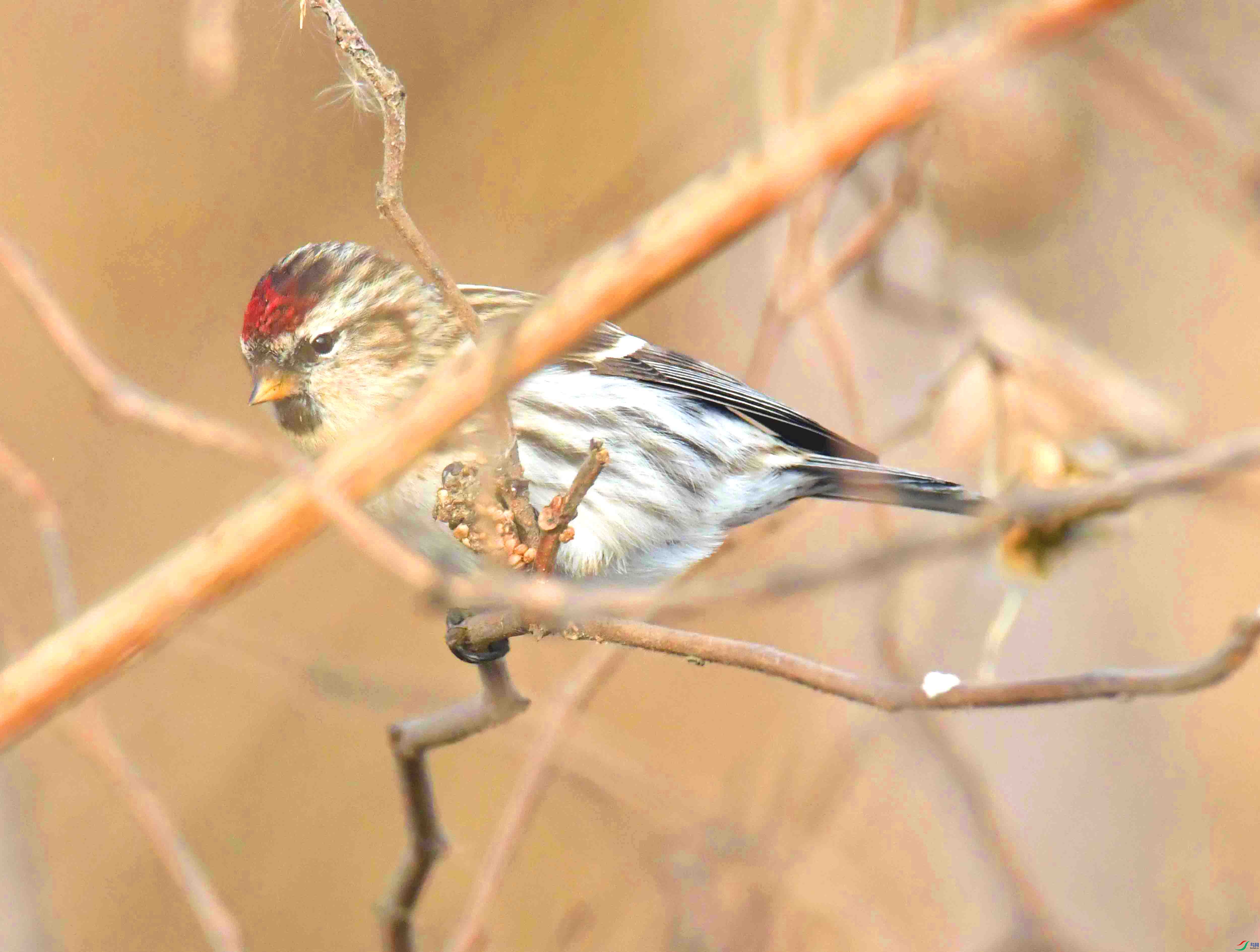 DSC_5841.JPG