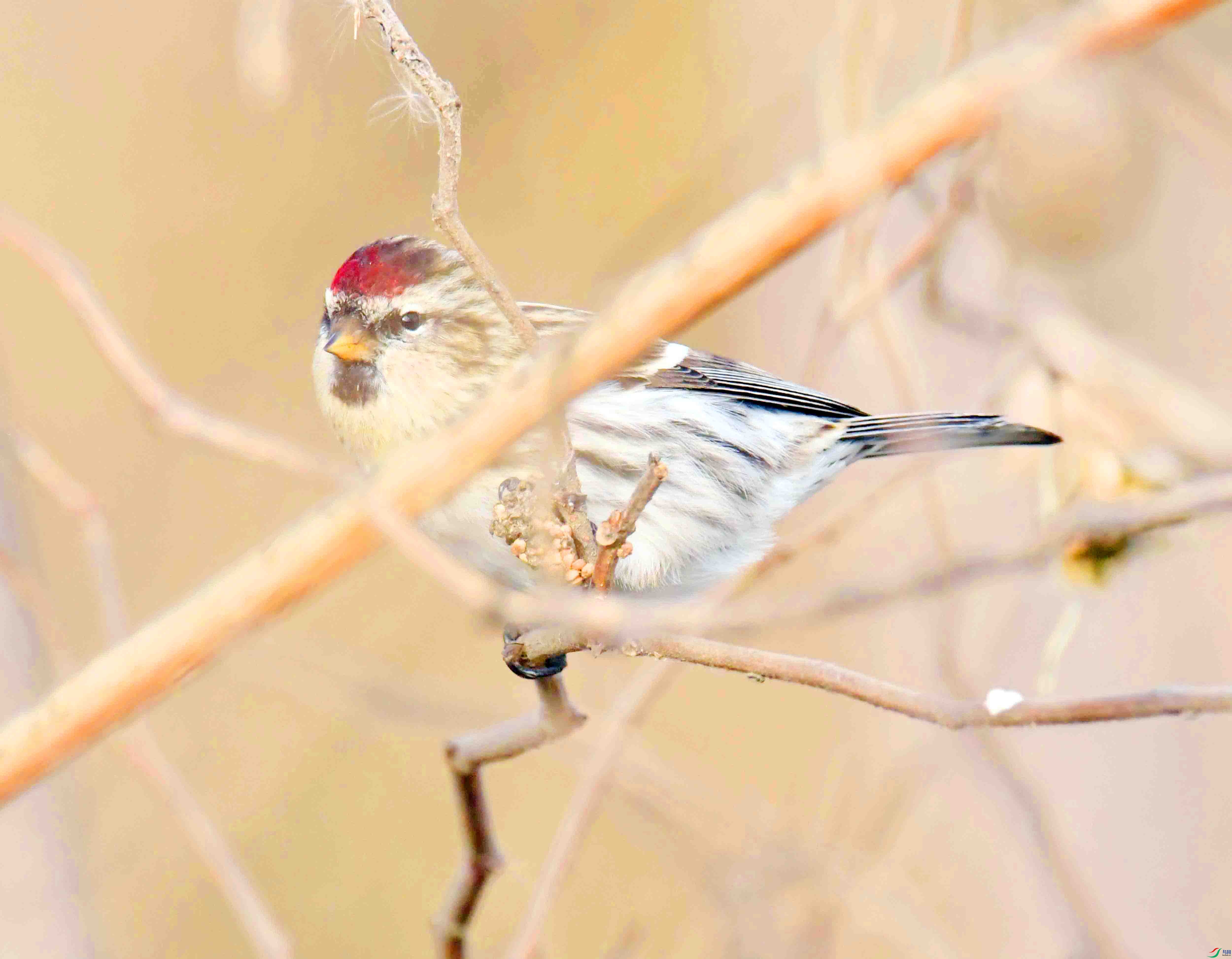 DSC_5842.JPG