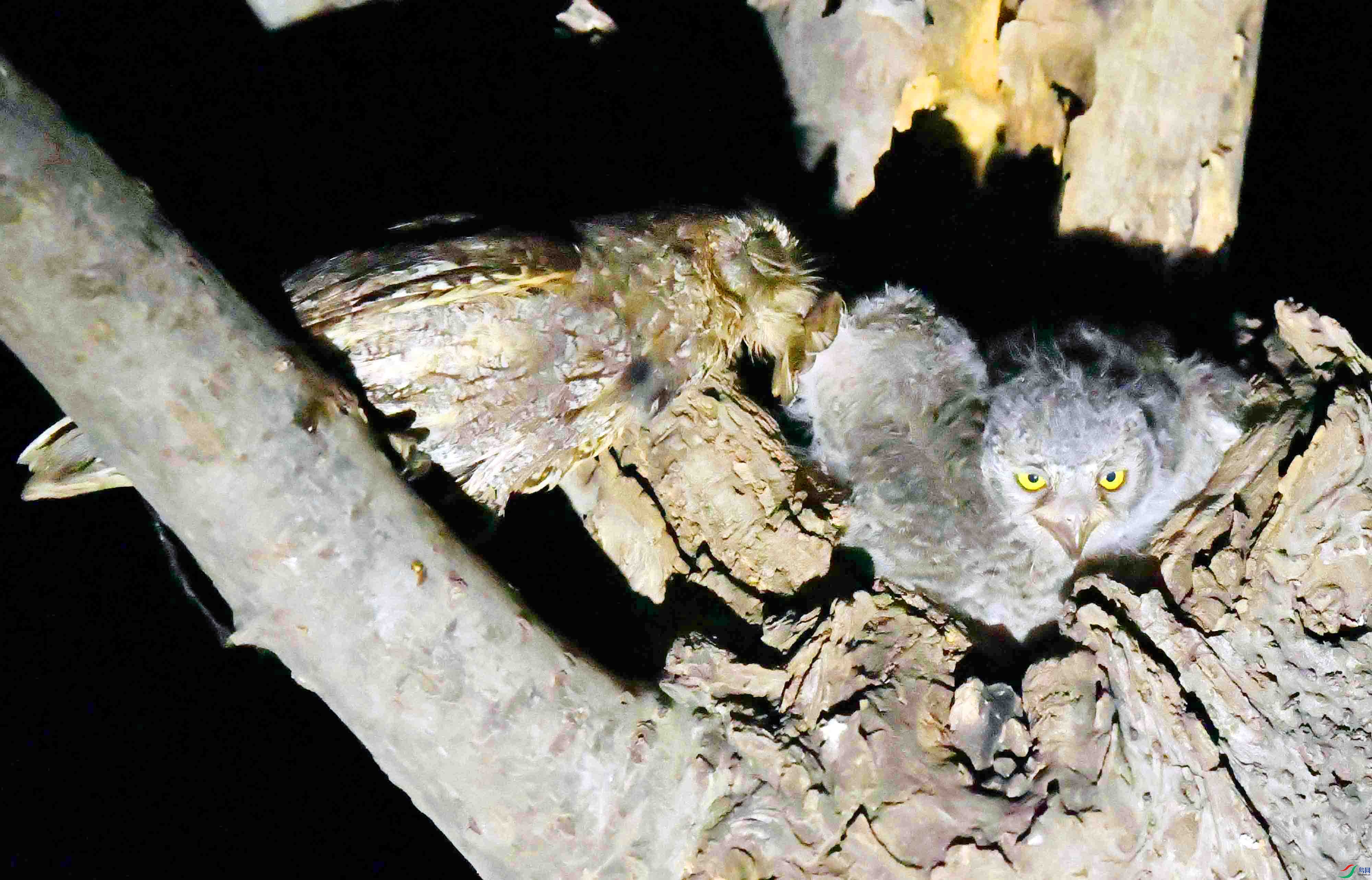 DSC_4592.JPG