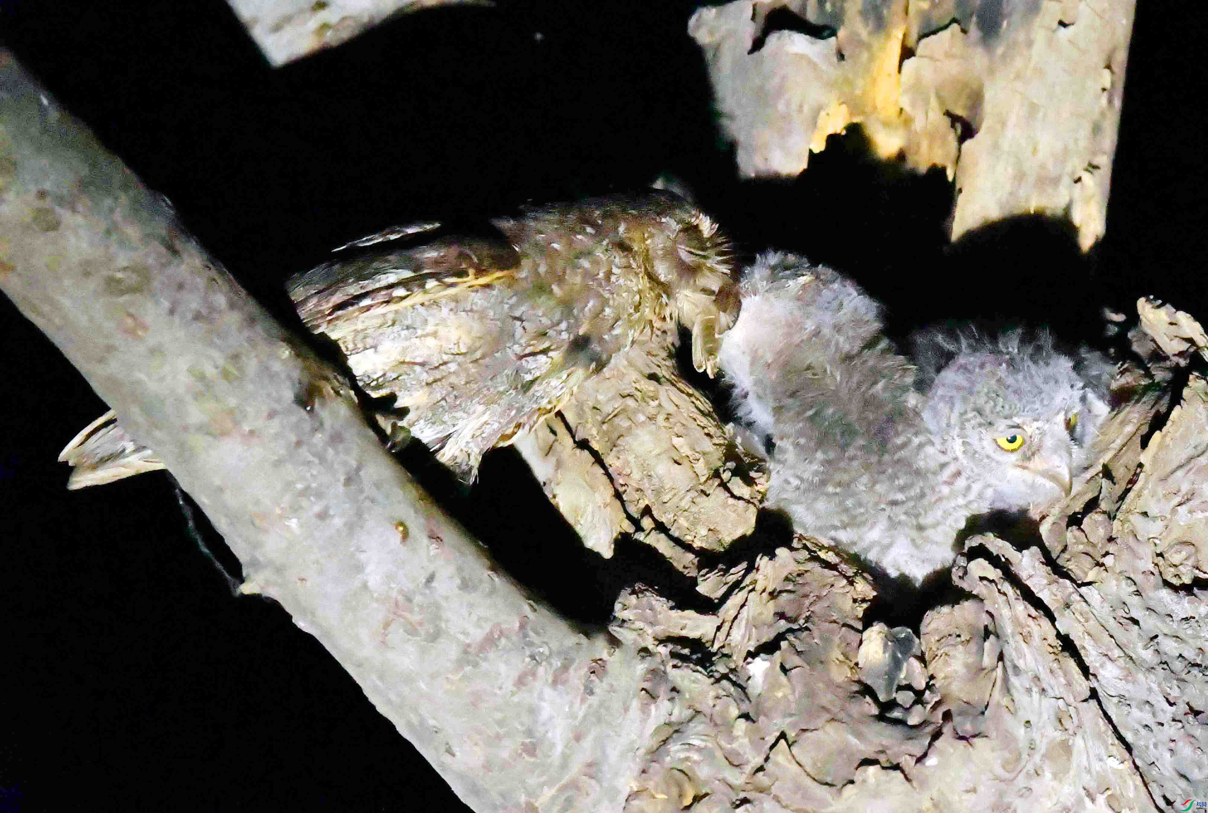 DSC_4593.JPG