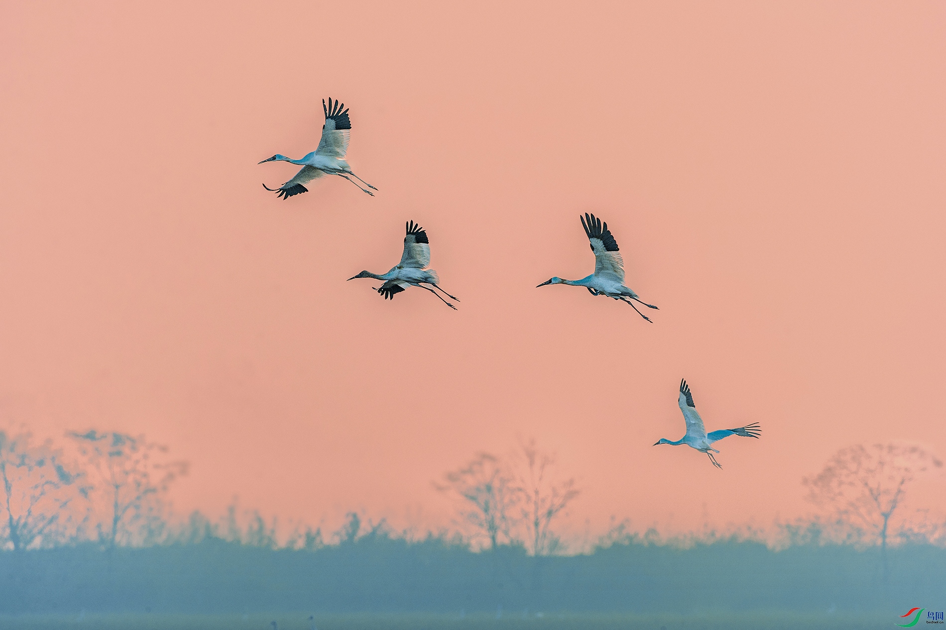 �׺�----�׷ɻ�����