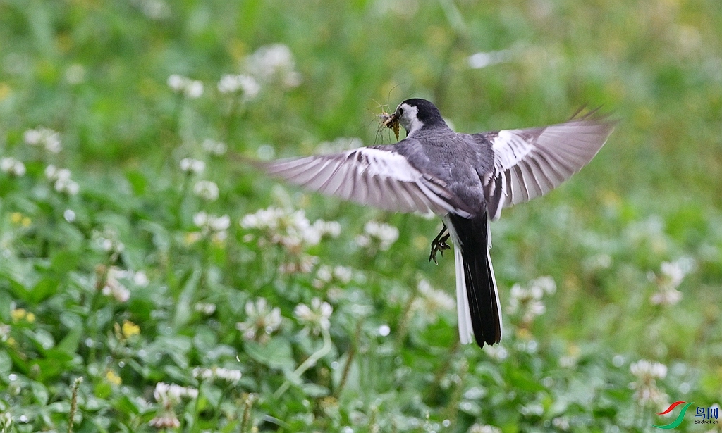 DSC_8161.JPG