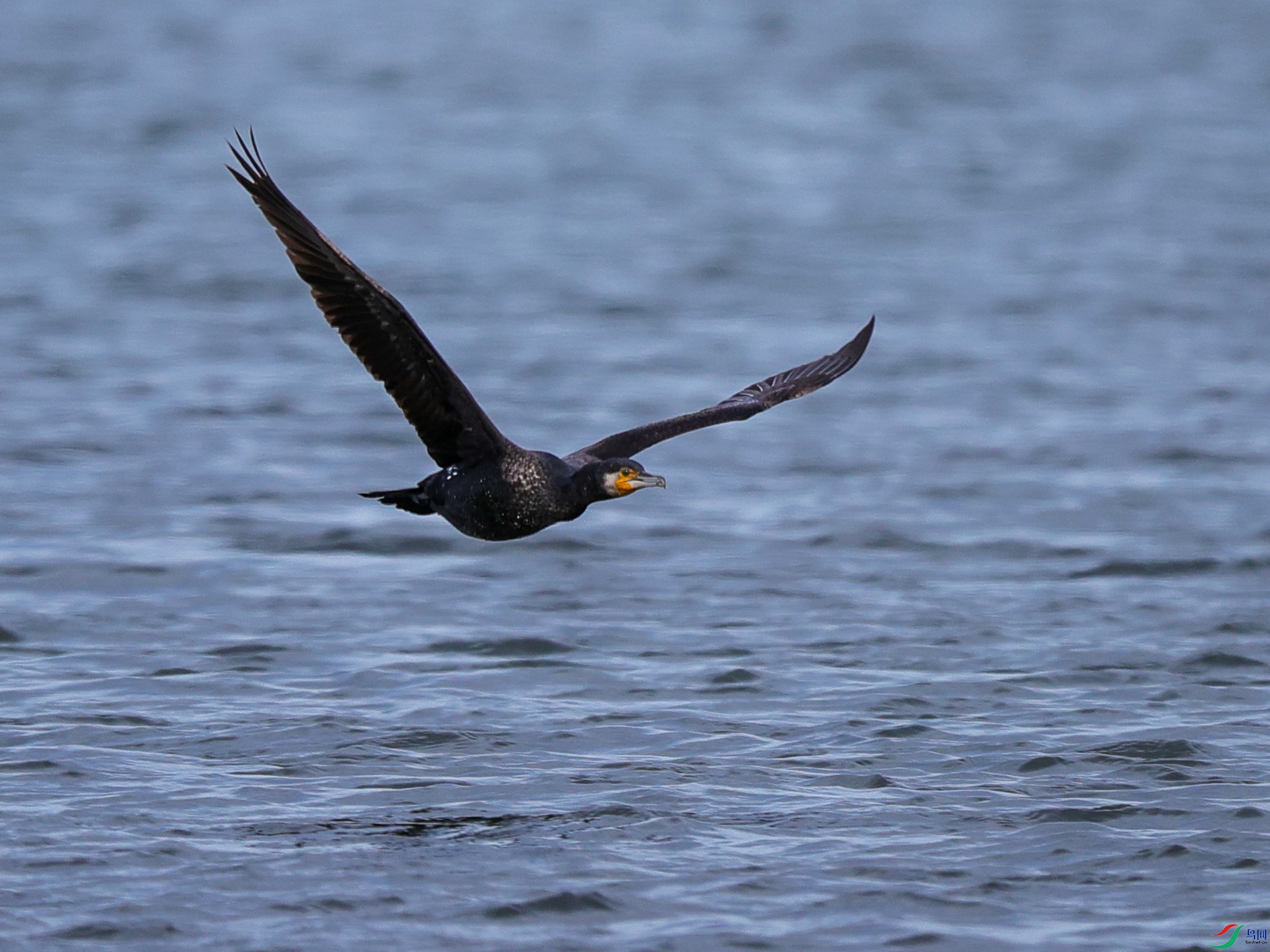 �ջ�����