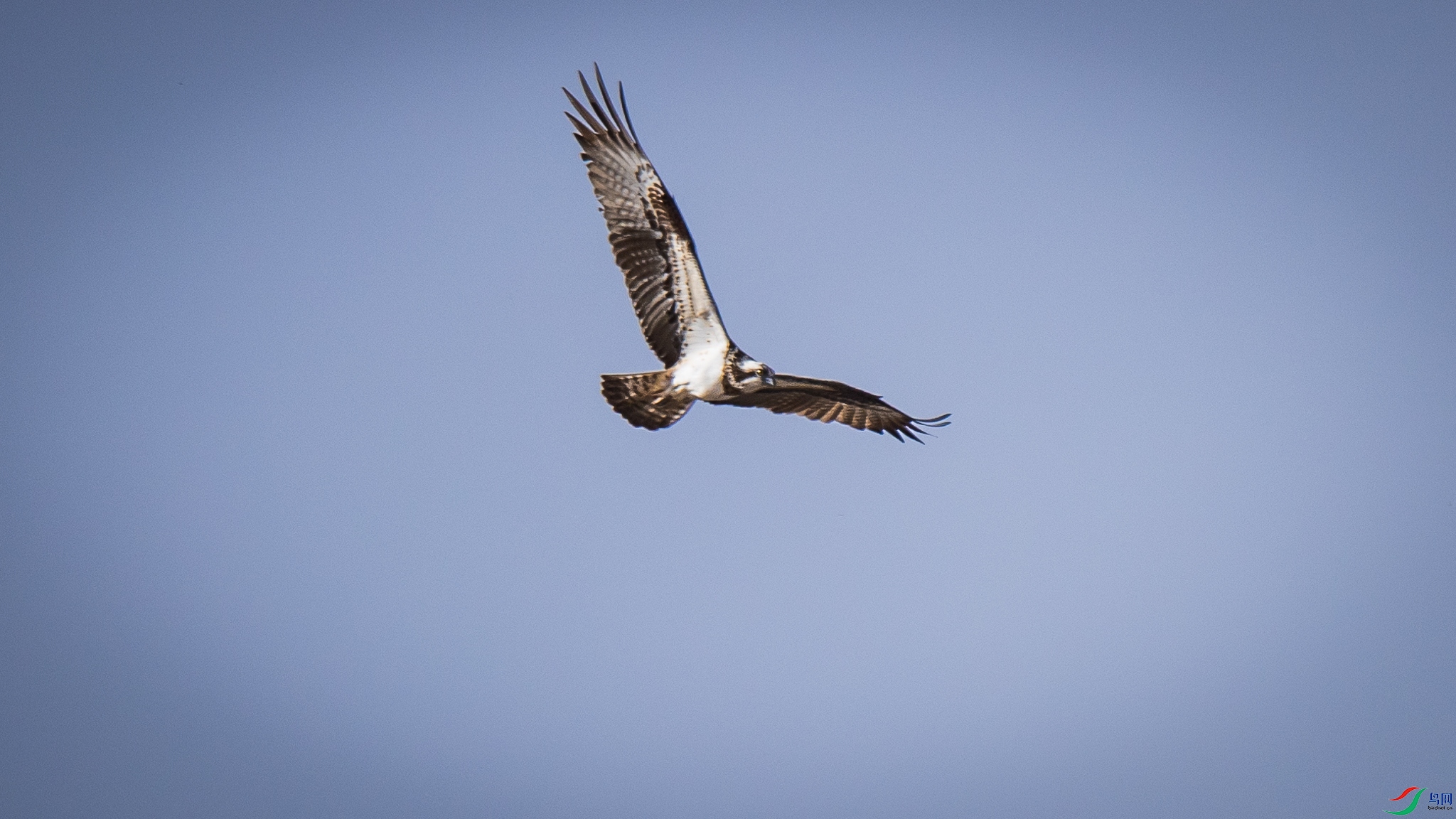 ��Ѱ����