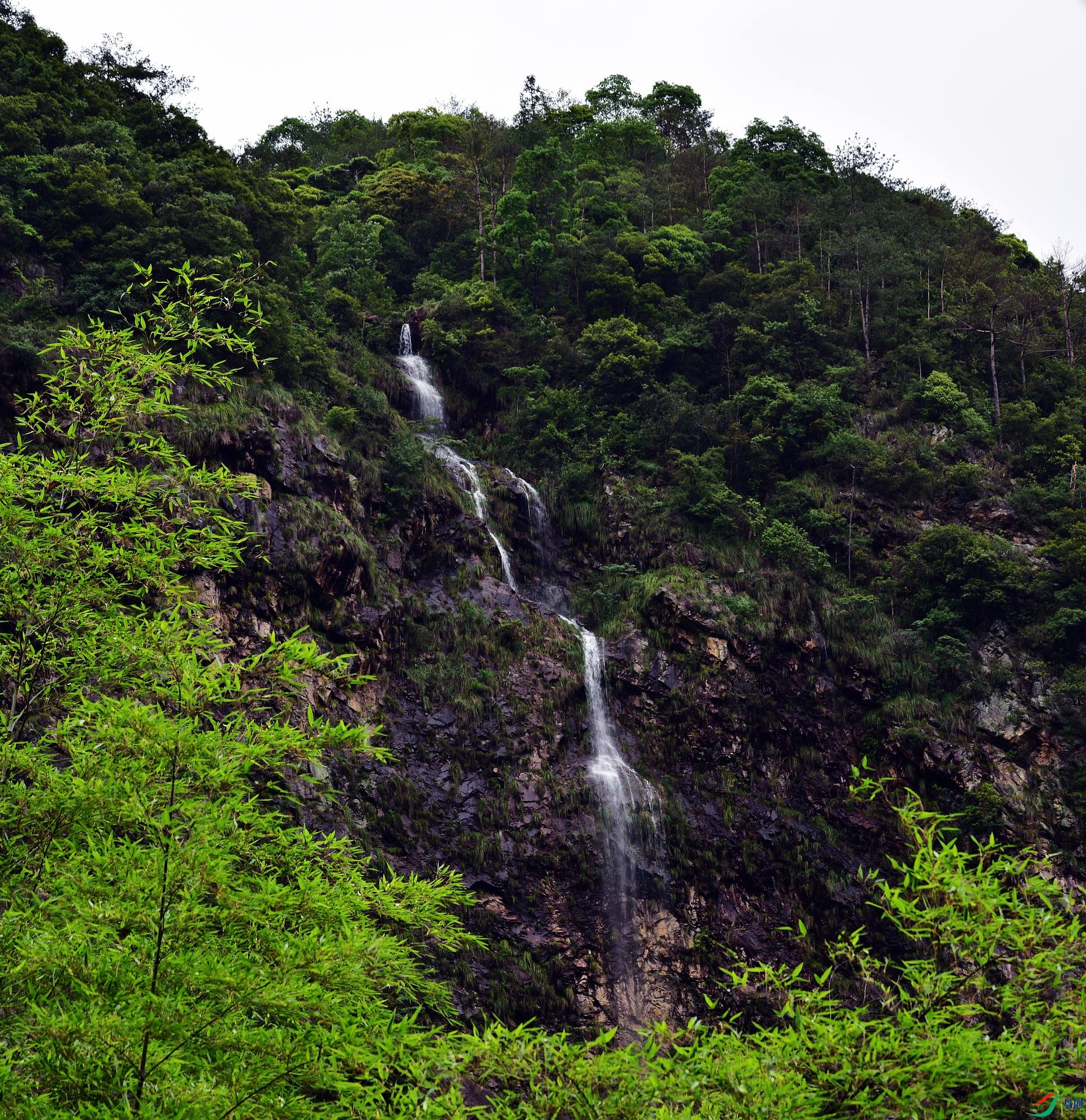 D8I_4523.jpg