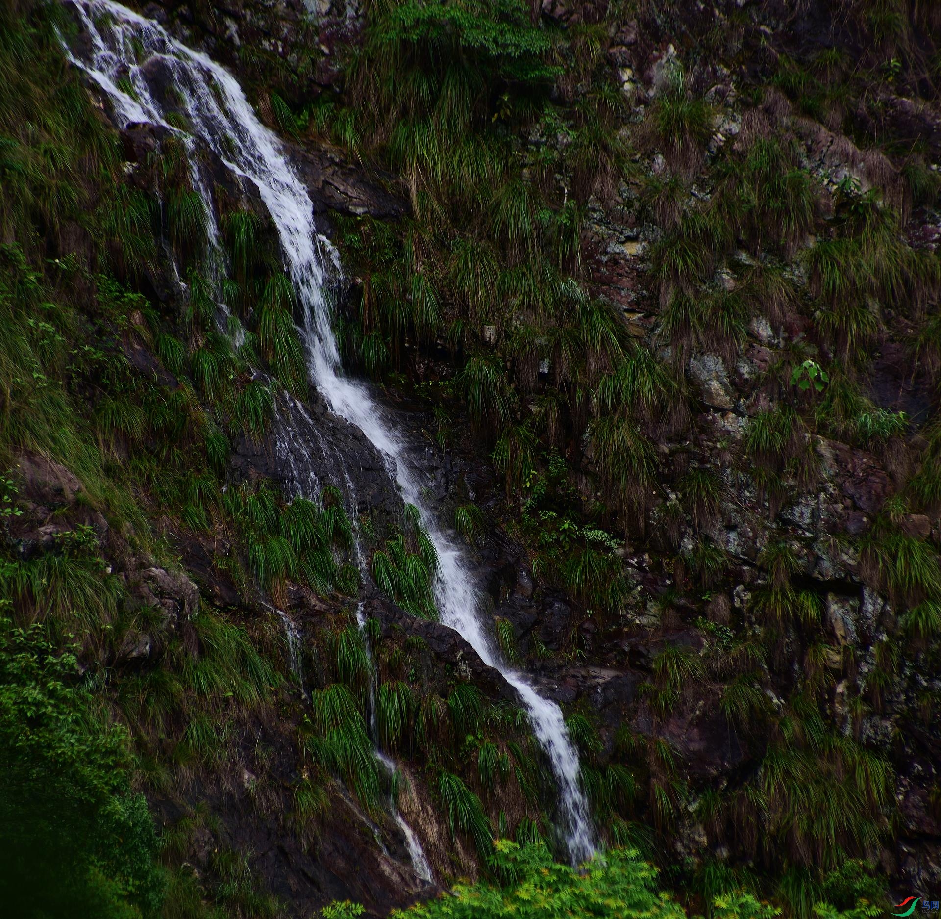 D8I_4567.jpg