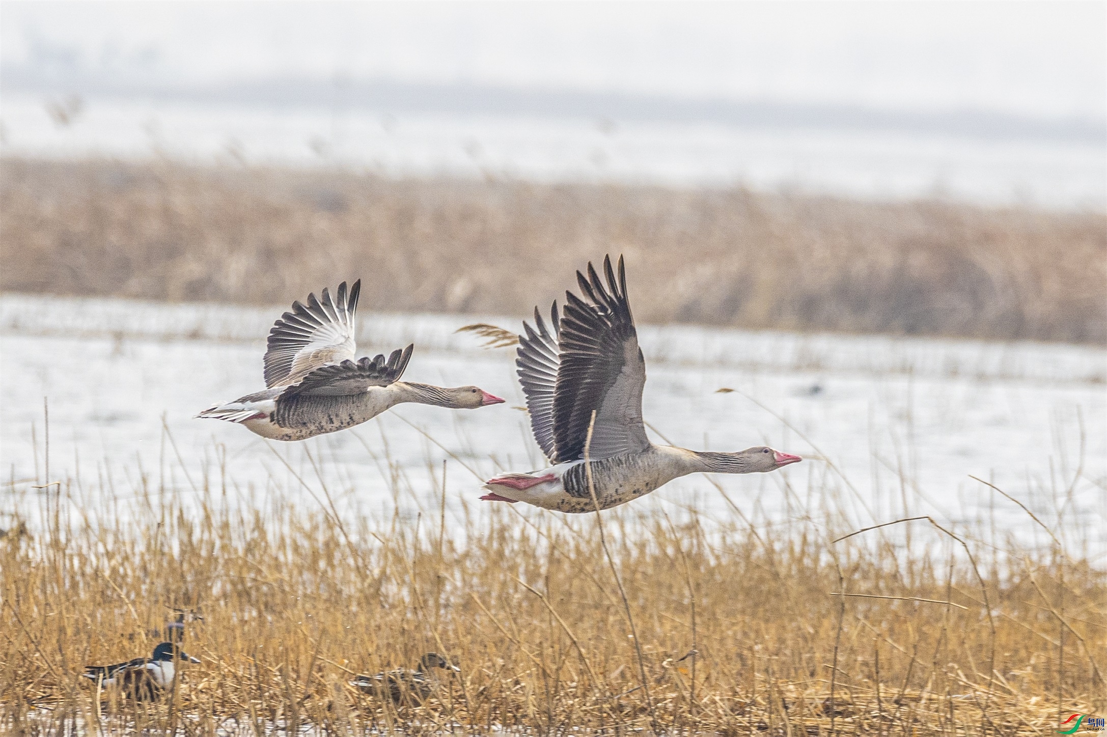 1K3A5872 ����1.jpg