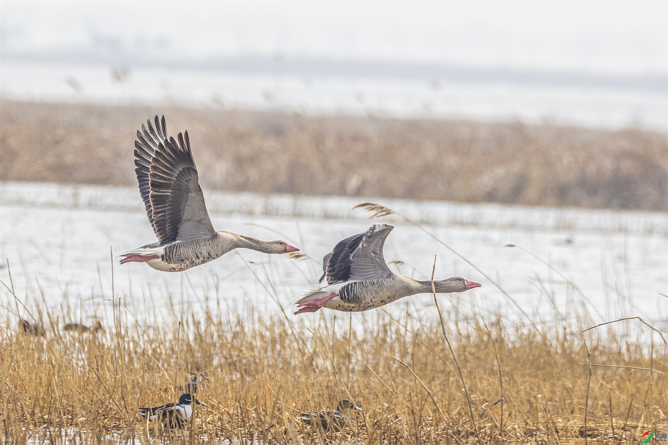 1K3A5871 ����1.jpg