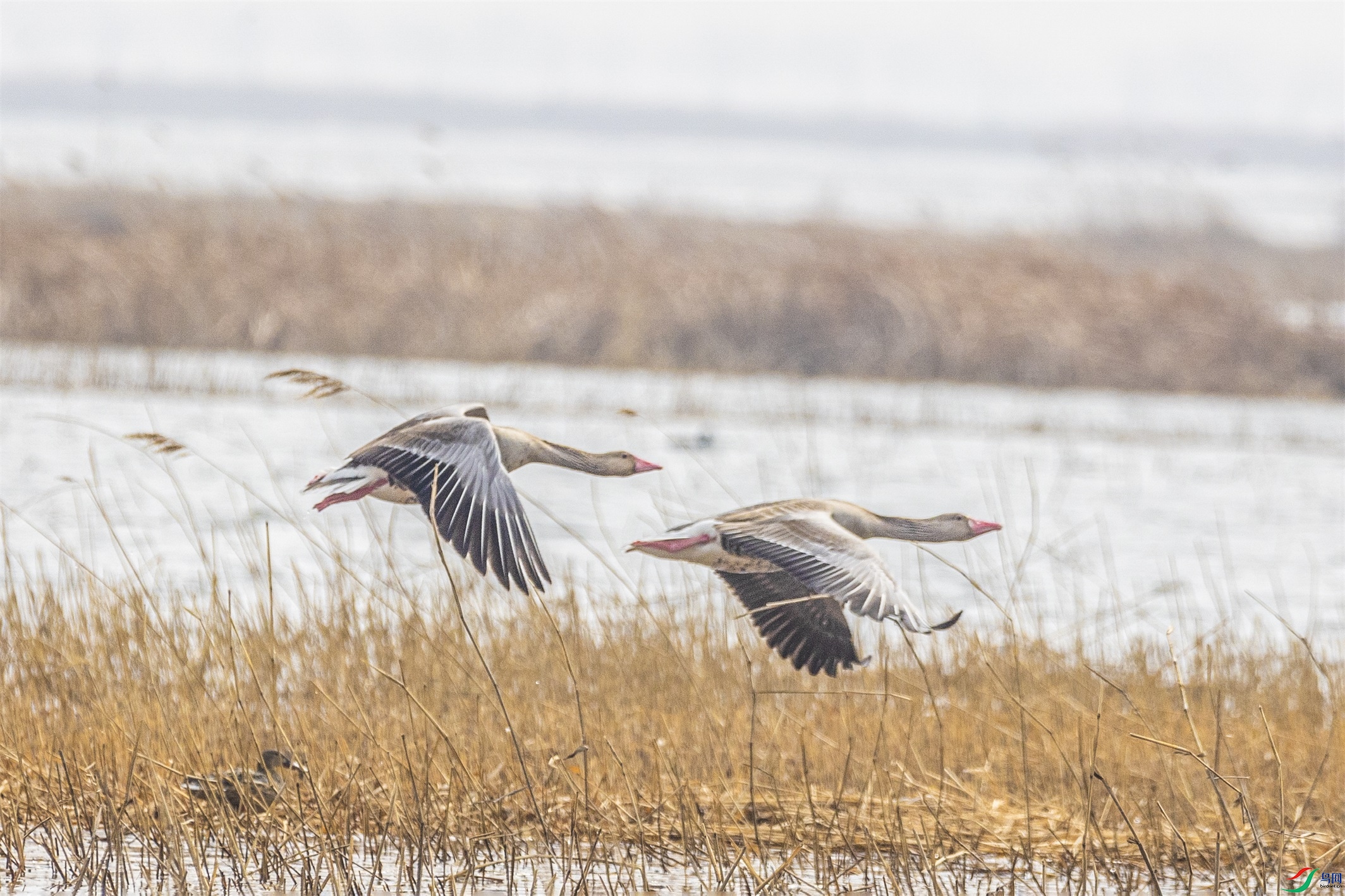 1K3A5874 ����1.jpg