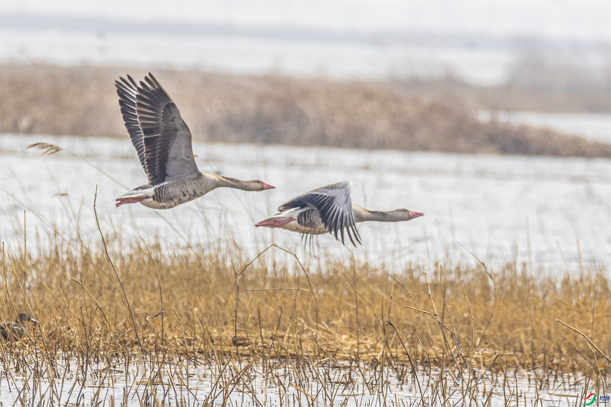 1K3A5875 ����1.jpg