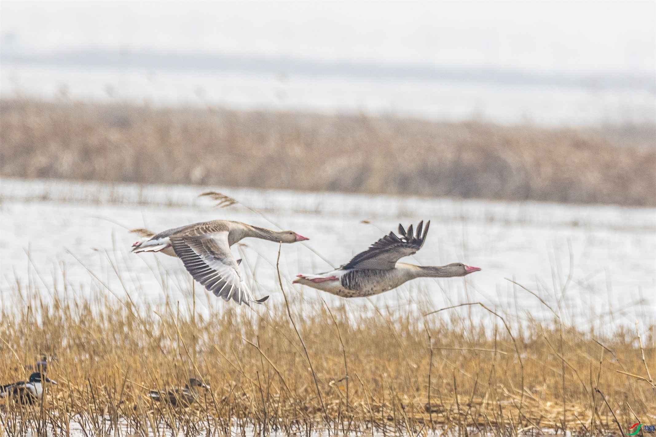 1K3A5873 ����1.jpg