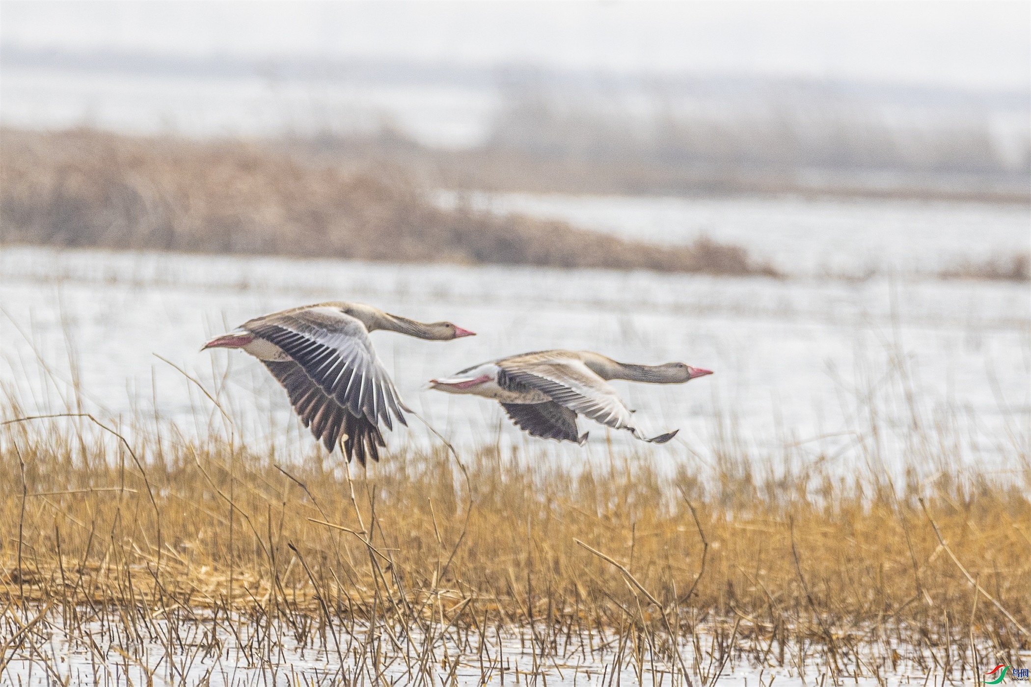 1K3A5878 ����1.jpg