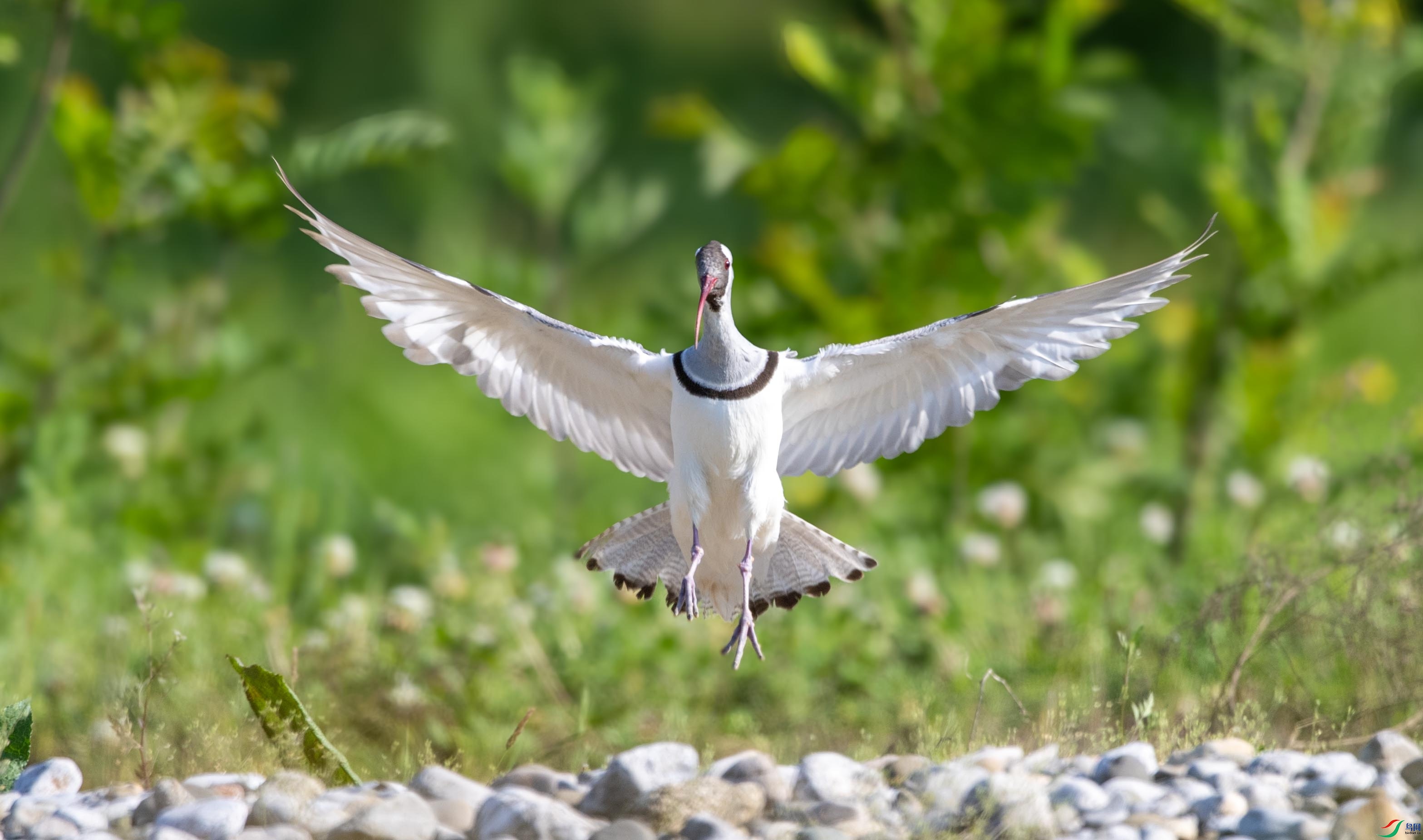 DSC_5634 ����.jpg