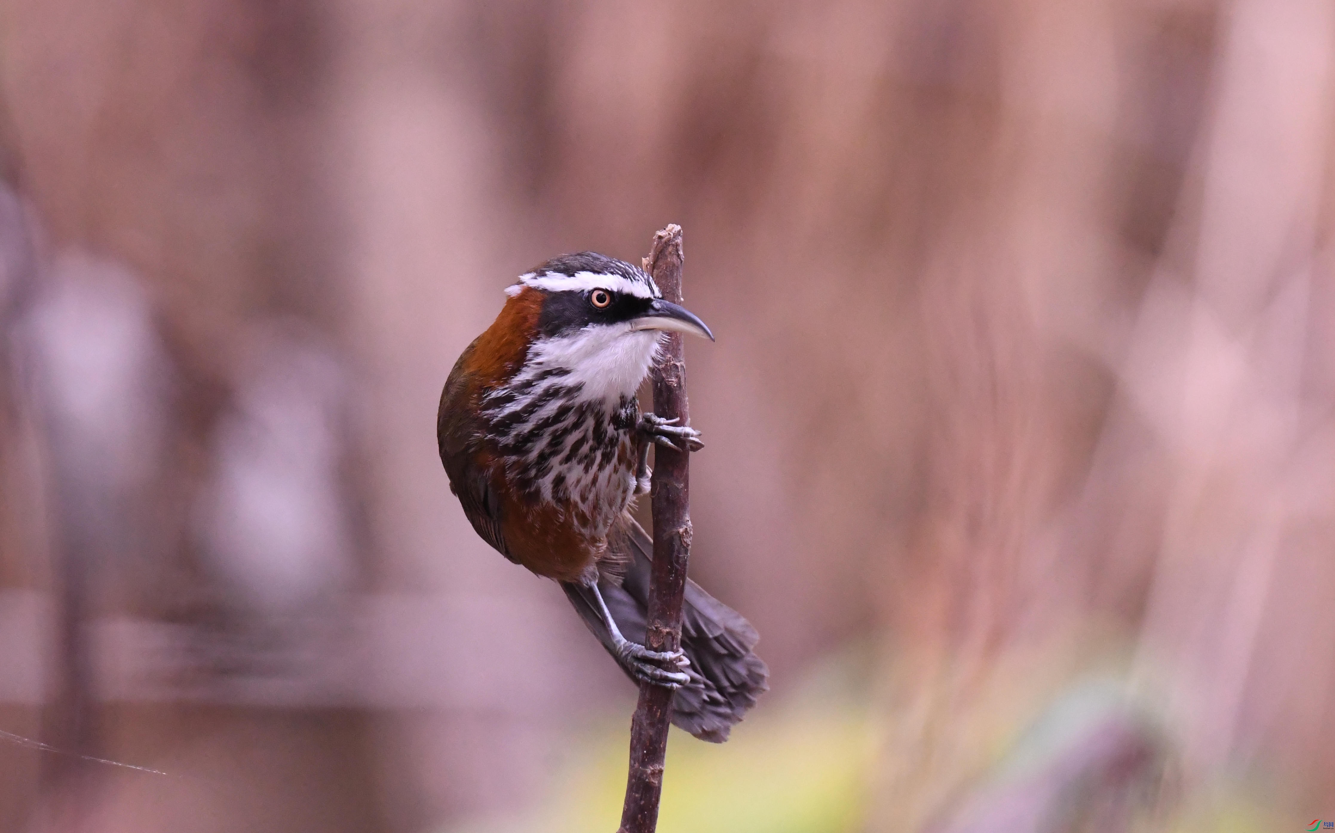 ̨���ؾ������� ����.JPG