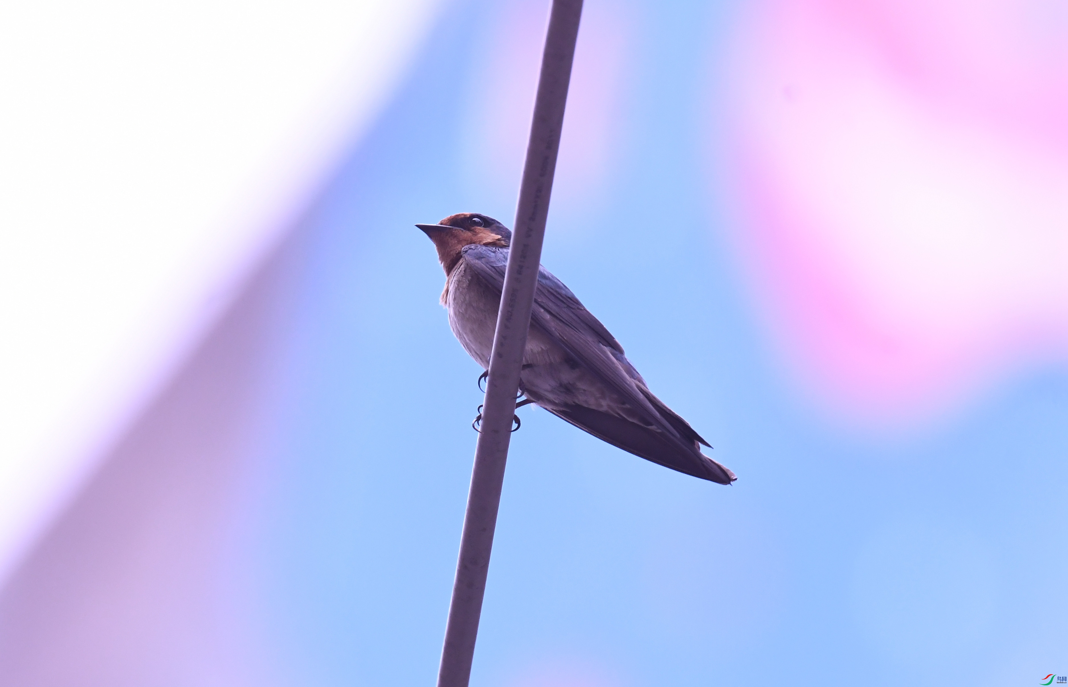 ���� ����.JPG