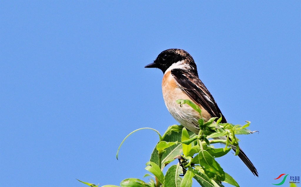 DSC_0159.JPG