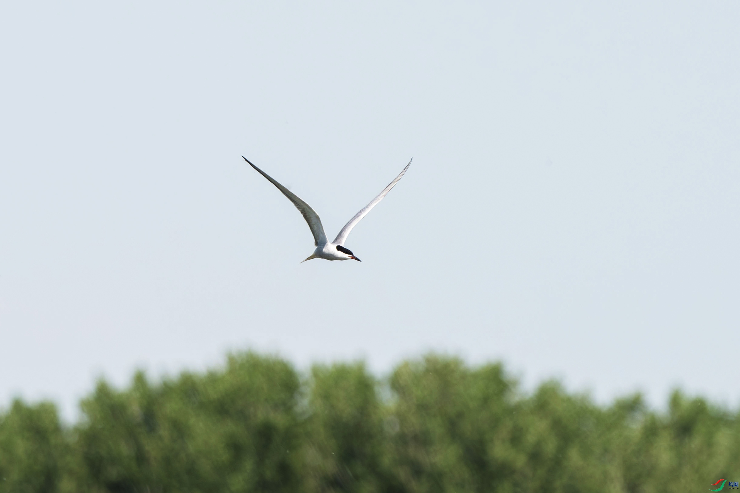 DSC_0735.jpg