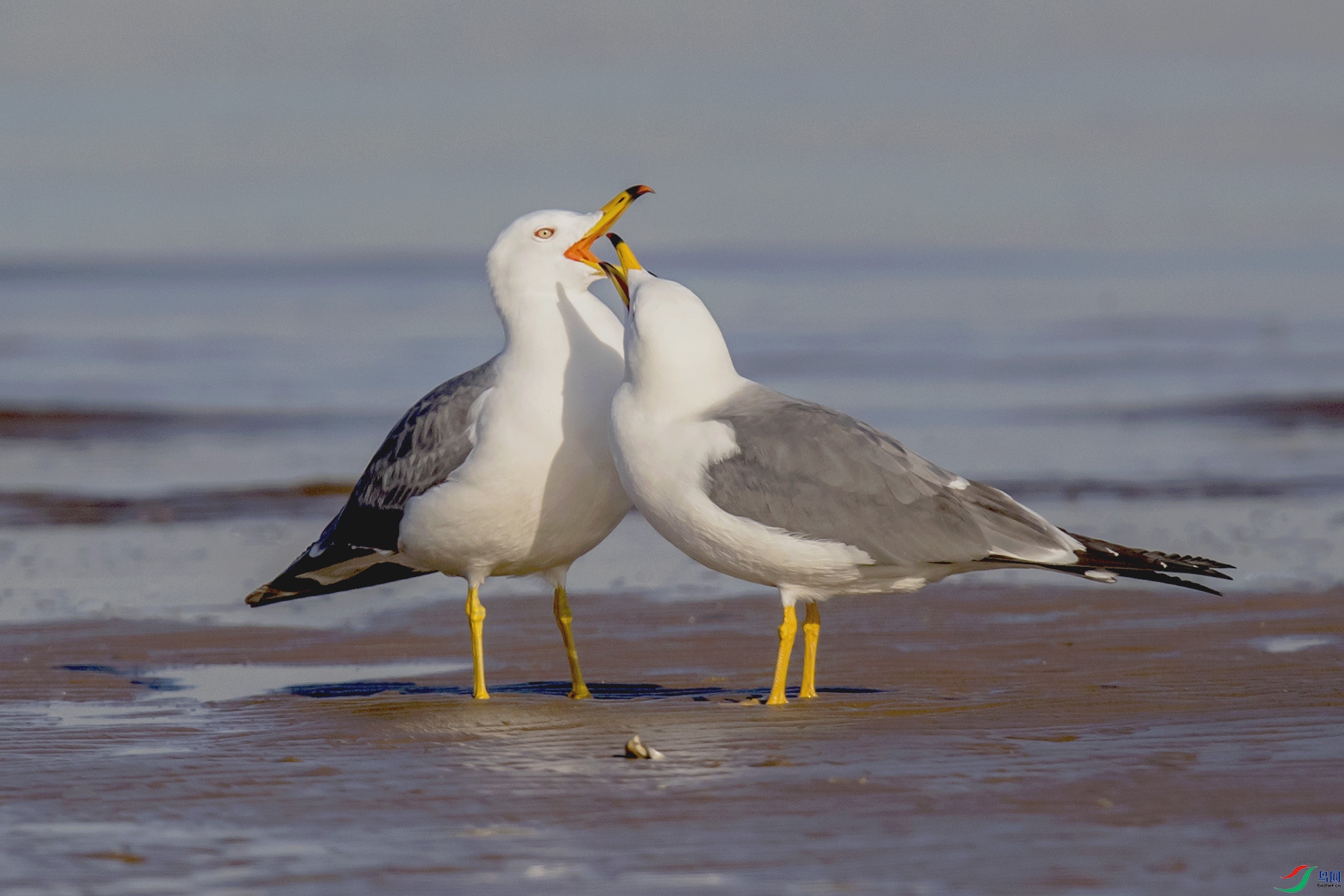 _90I5289 ����.jpg