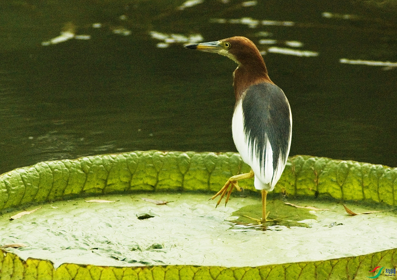 DSC_8429.jpg