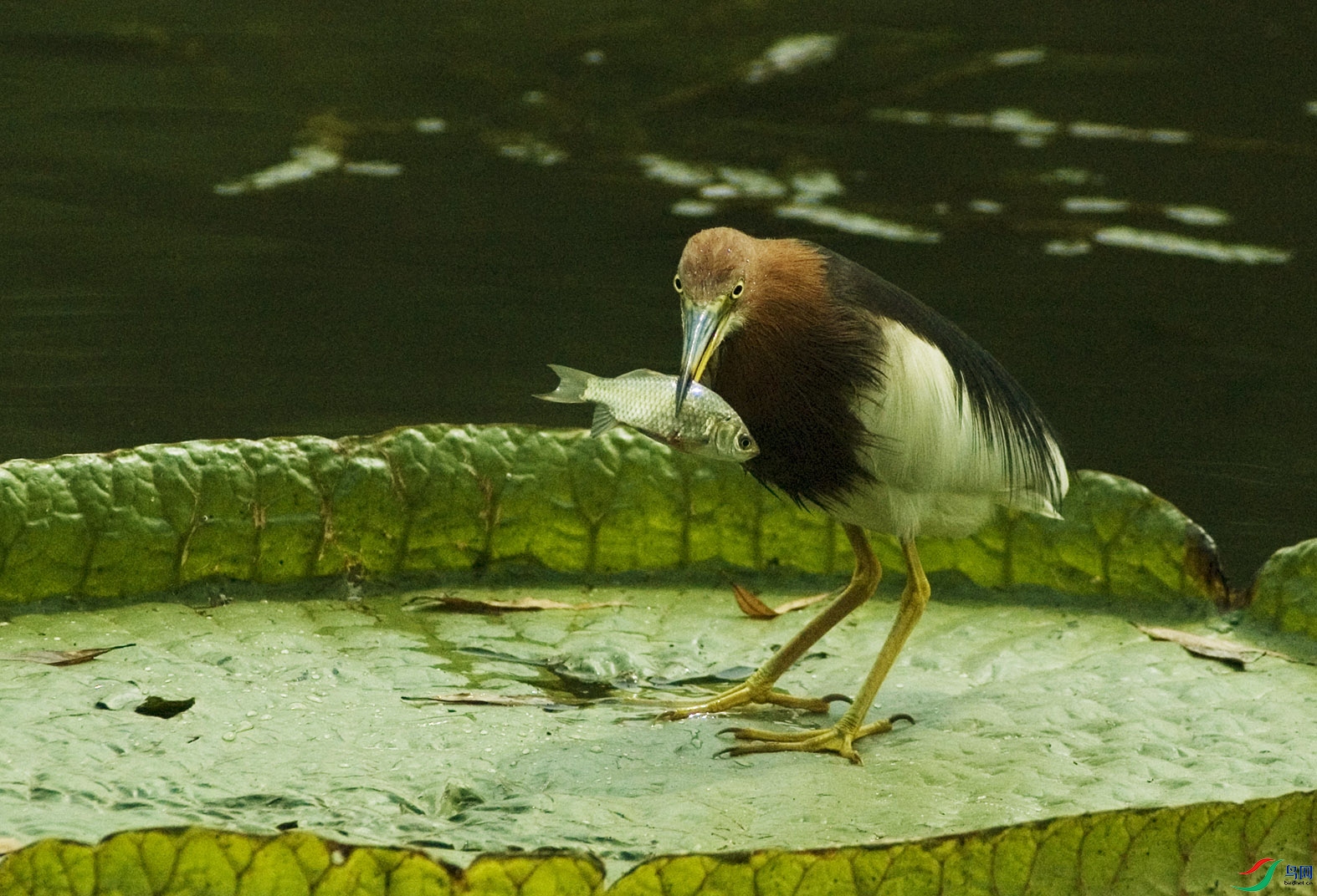 DSC_8446.jpg