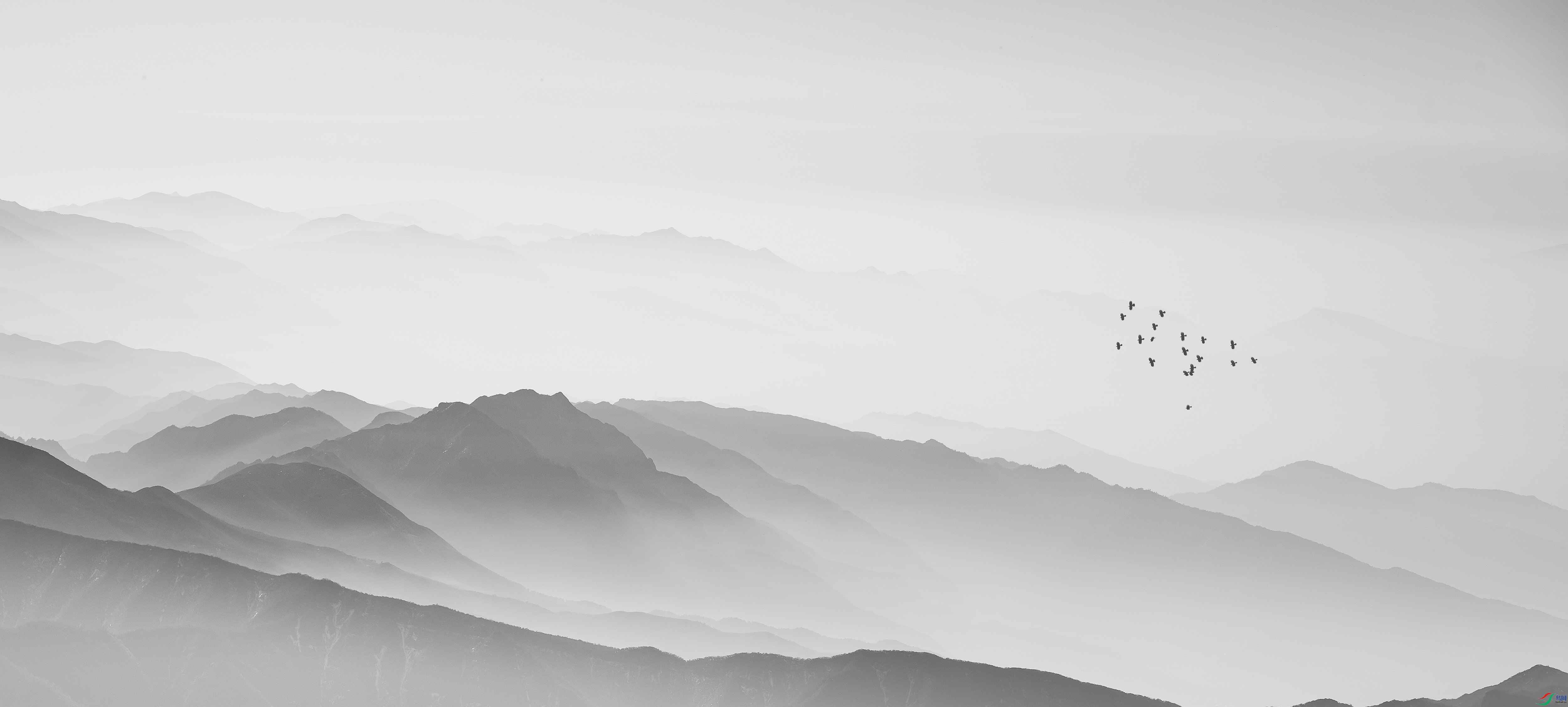 DSC_1126-1-����ǿ-SR(ǧɽ������ž�)-f.jpg