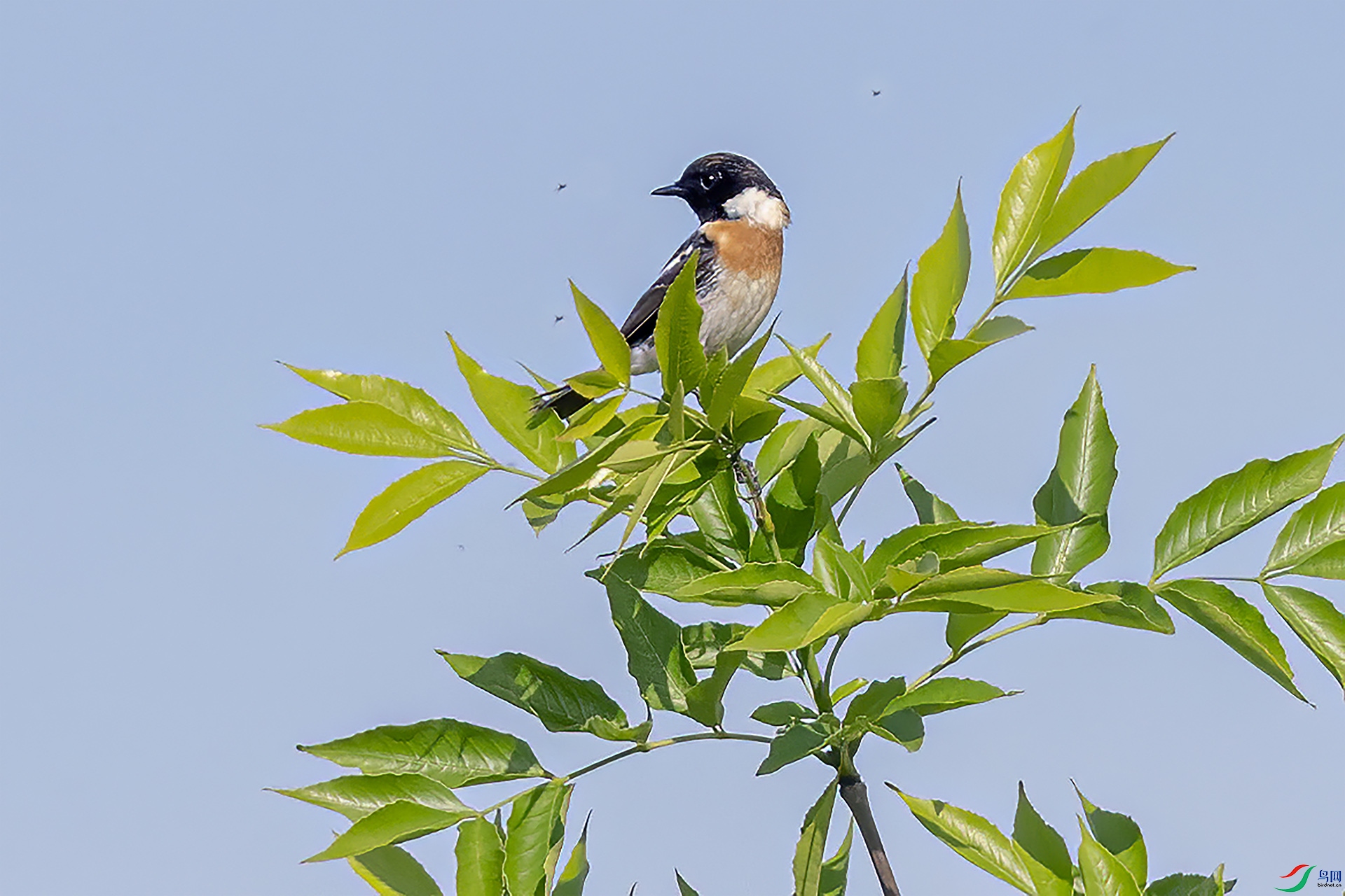 DSC_5546-.jpg