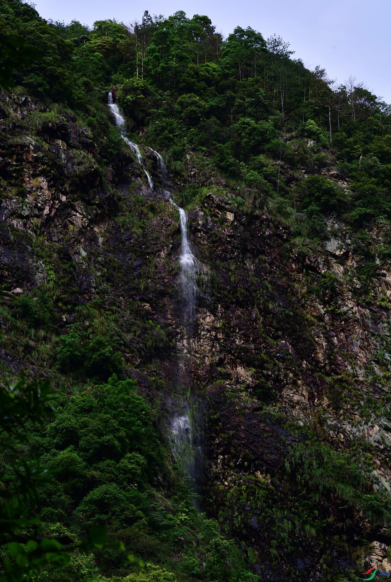 D8I_4571.jpg