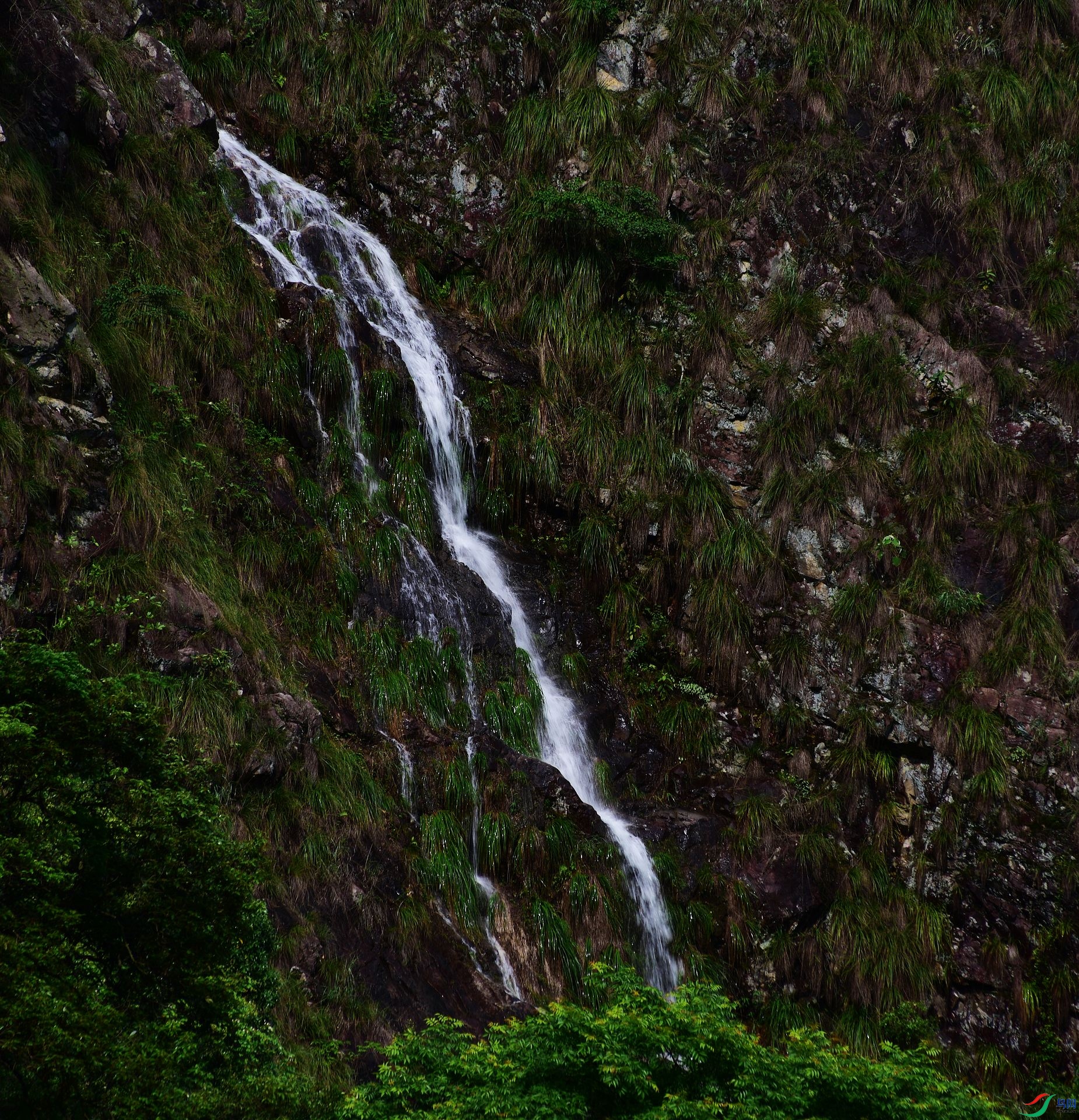 D8I_4587.jpg