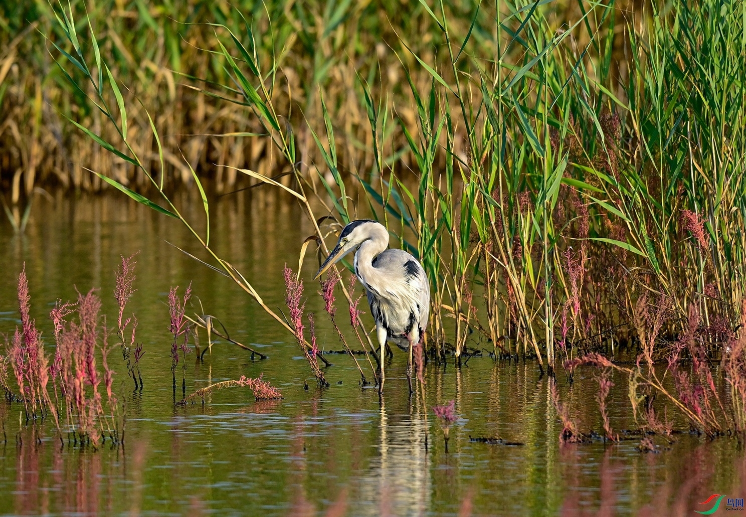 _DSC6380f.jpg