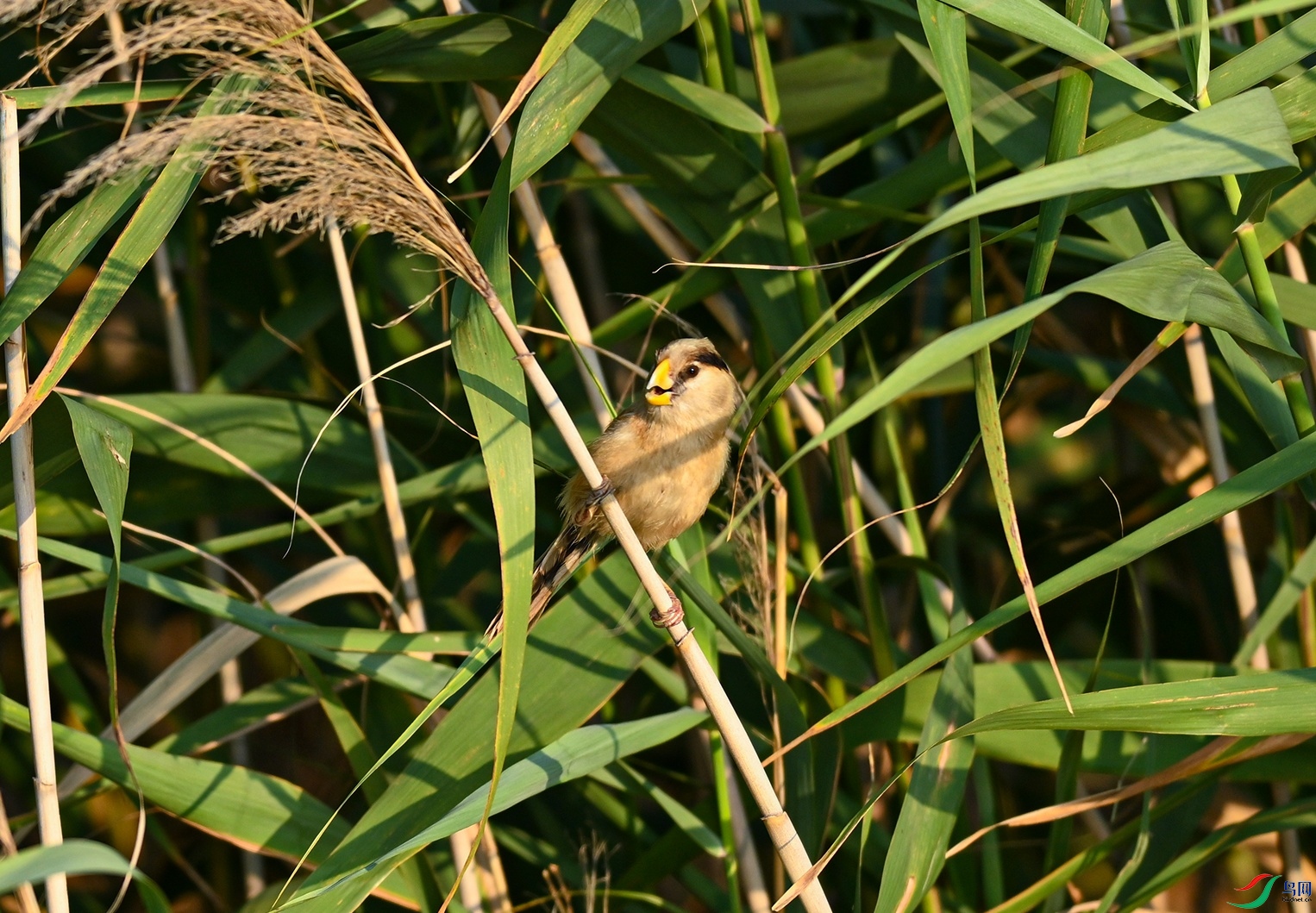 DSC_1438f.jpg