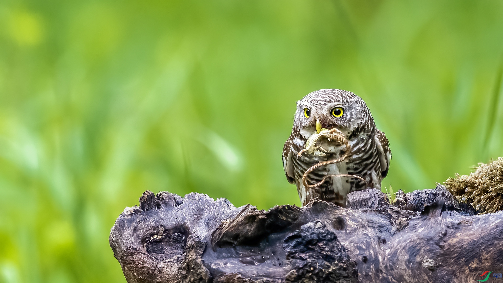 DSC_2625 ���� 3.jpg