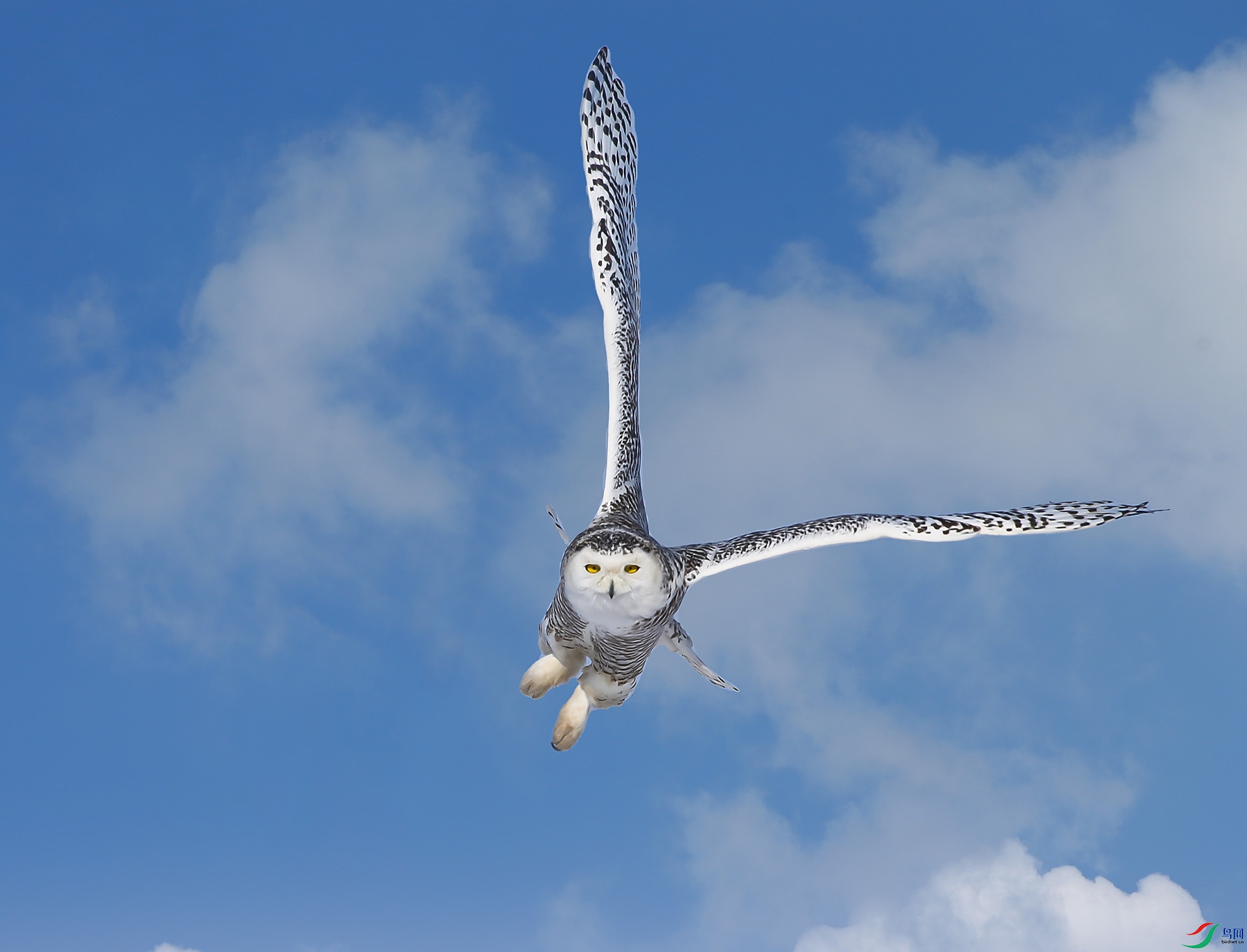 DM8W2238 ����.jpg