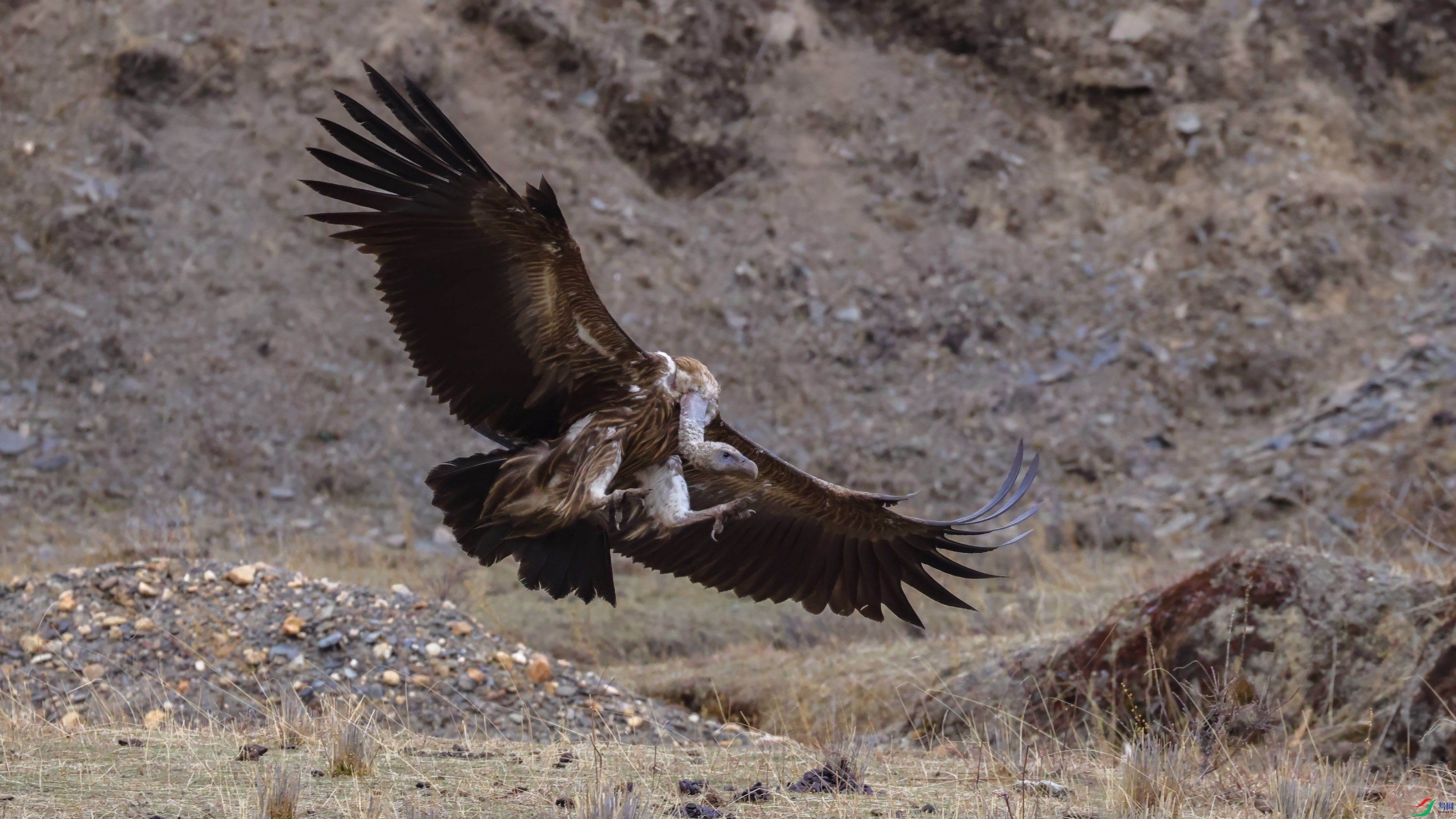 _T4A8394 ����w.jpg