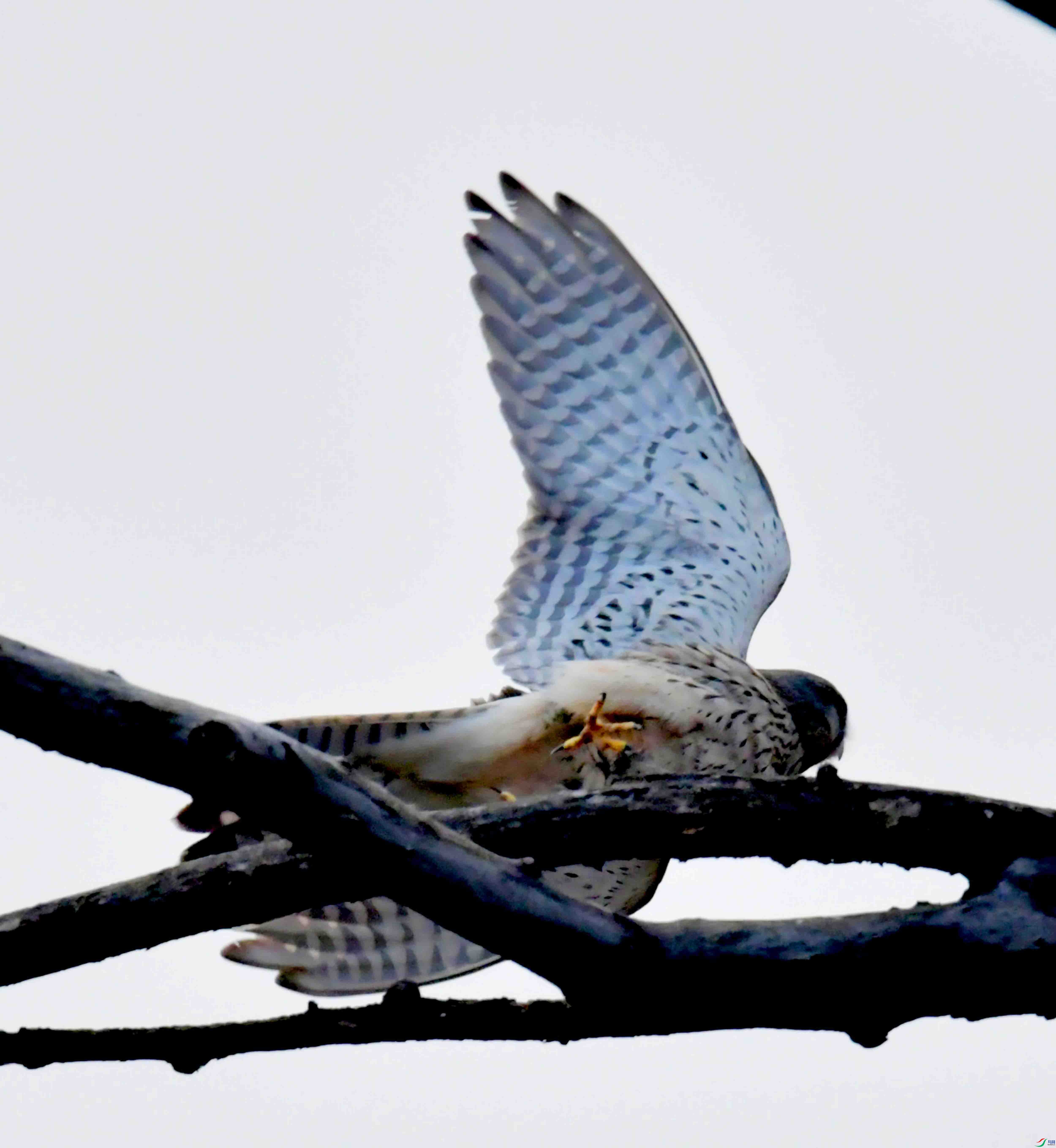 DSC_3919.JPG