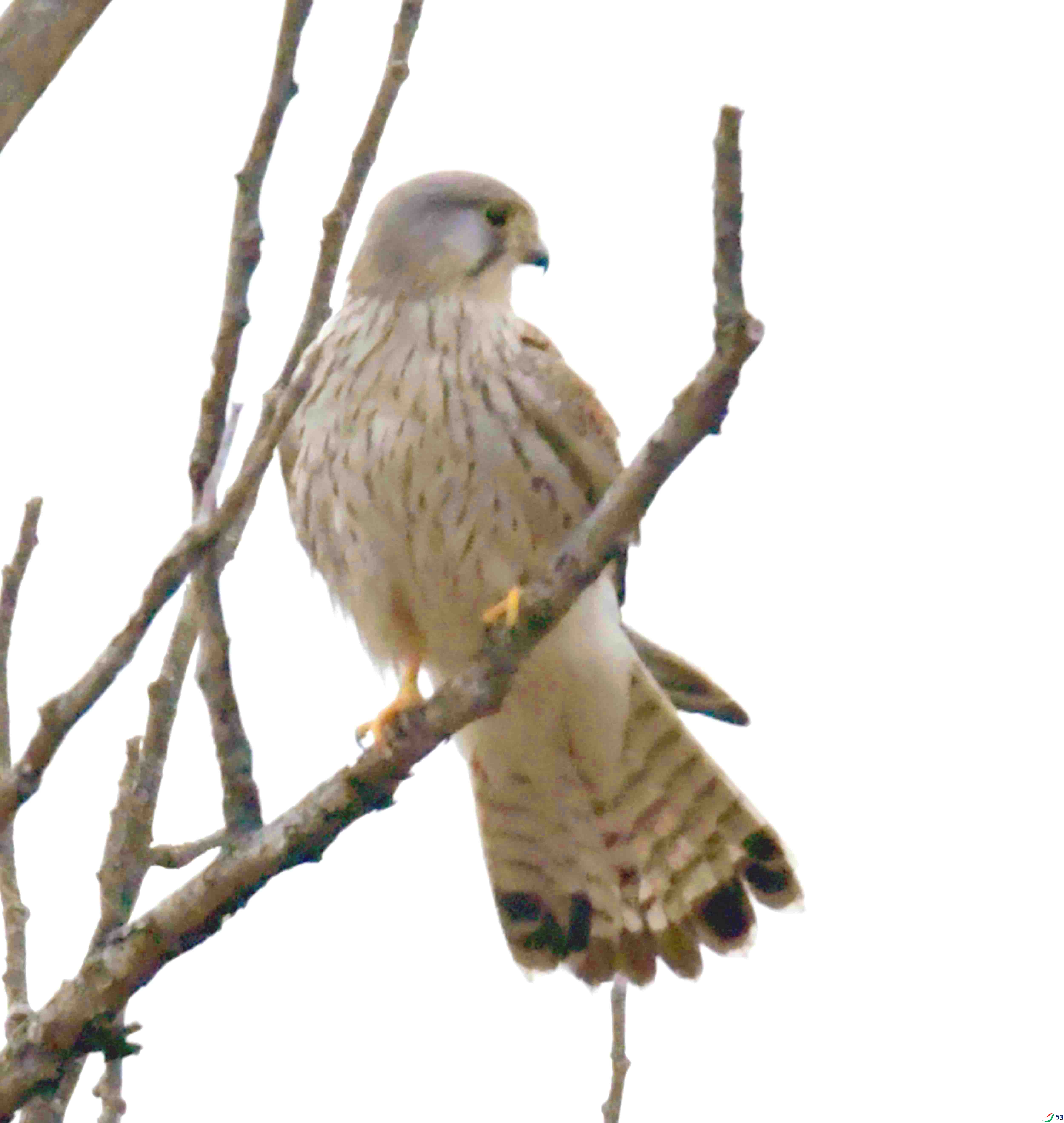 DSC_3922.JPG
