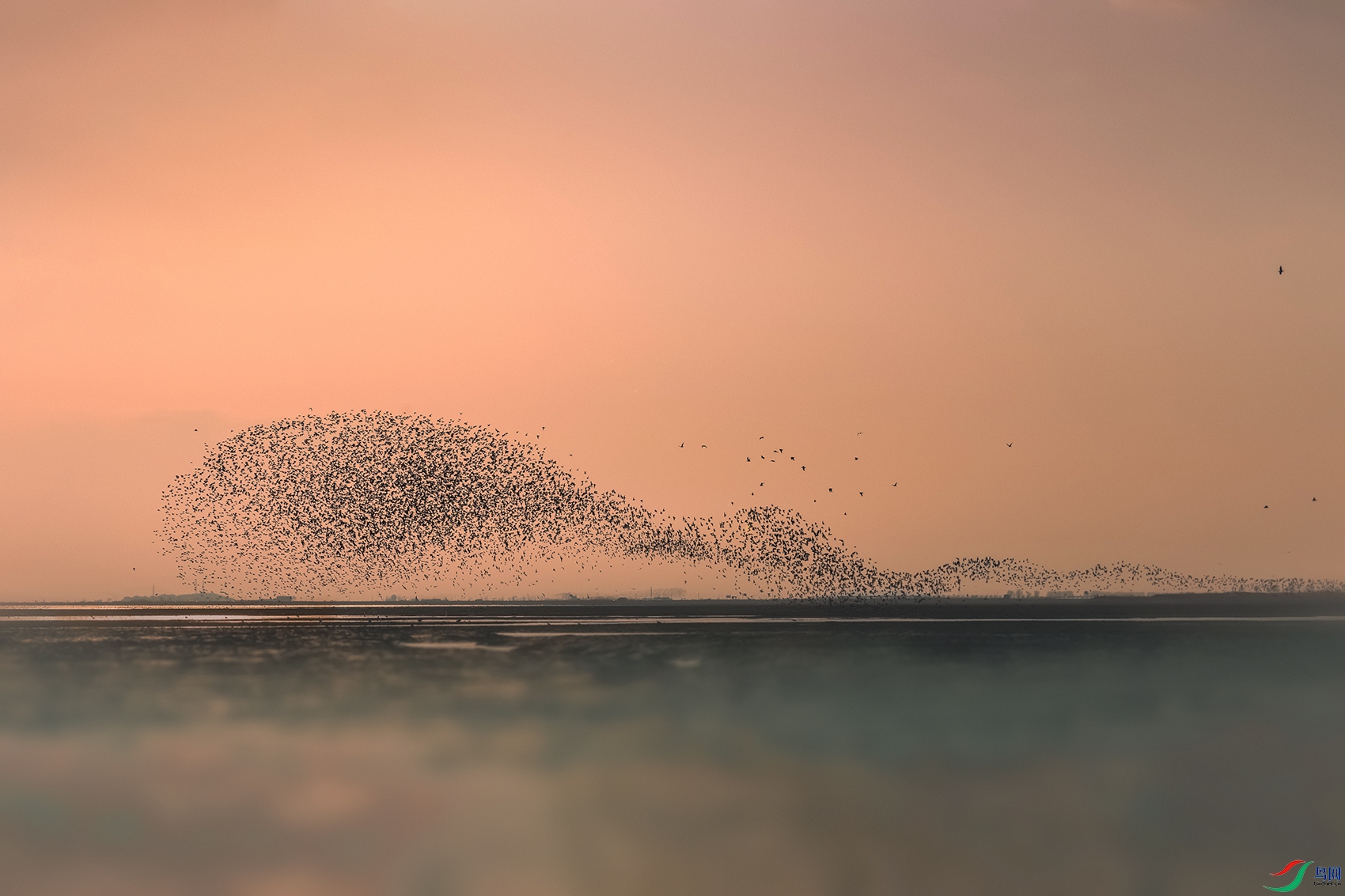 ��β��������----������ǳ̲