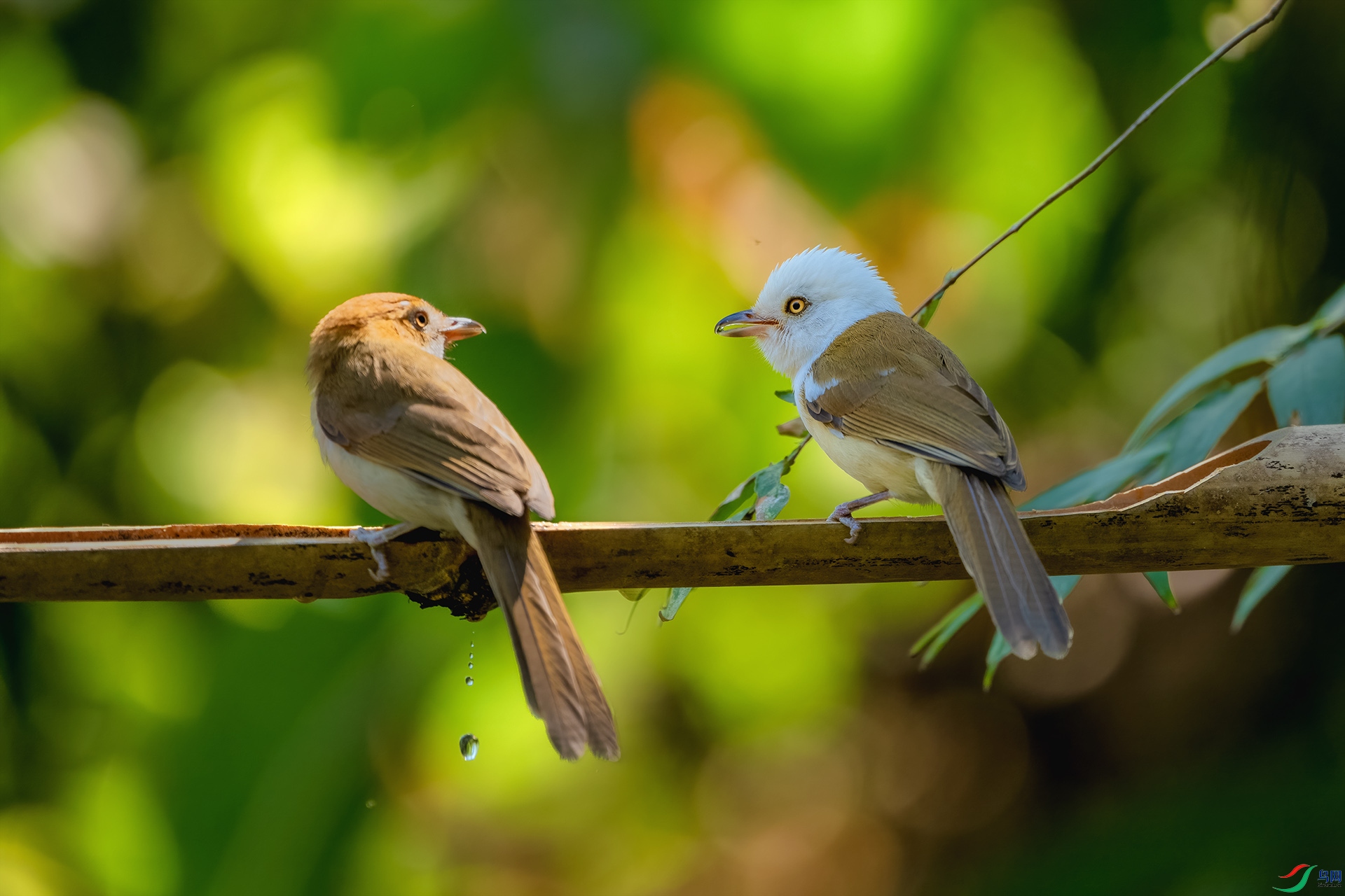 _DSC0765 ����.jpg