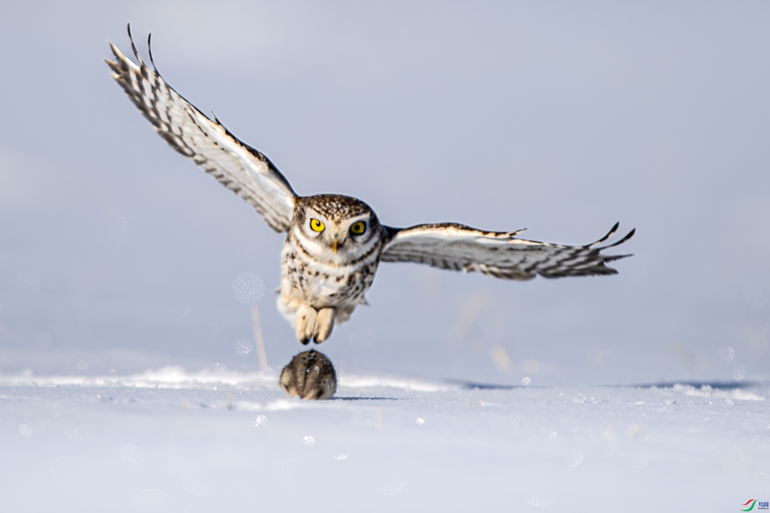 A15I8470- ����.jpg