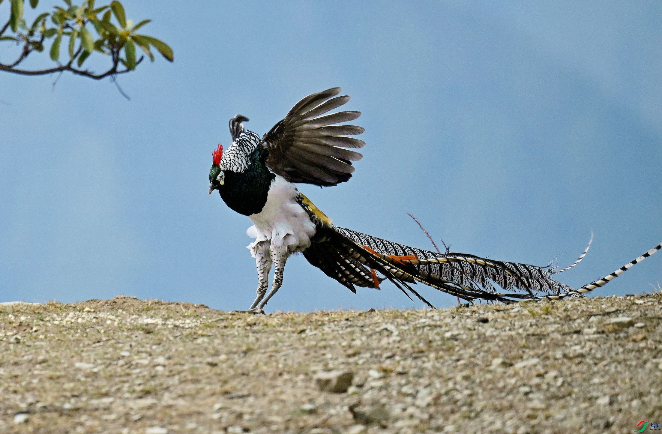 ���в������Ի���