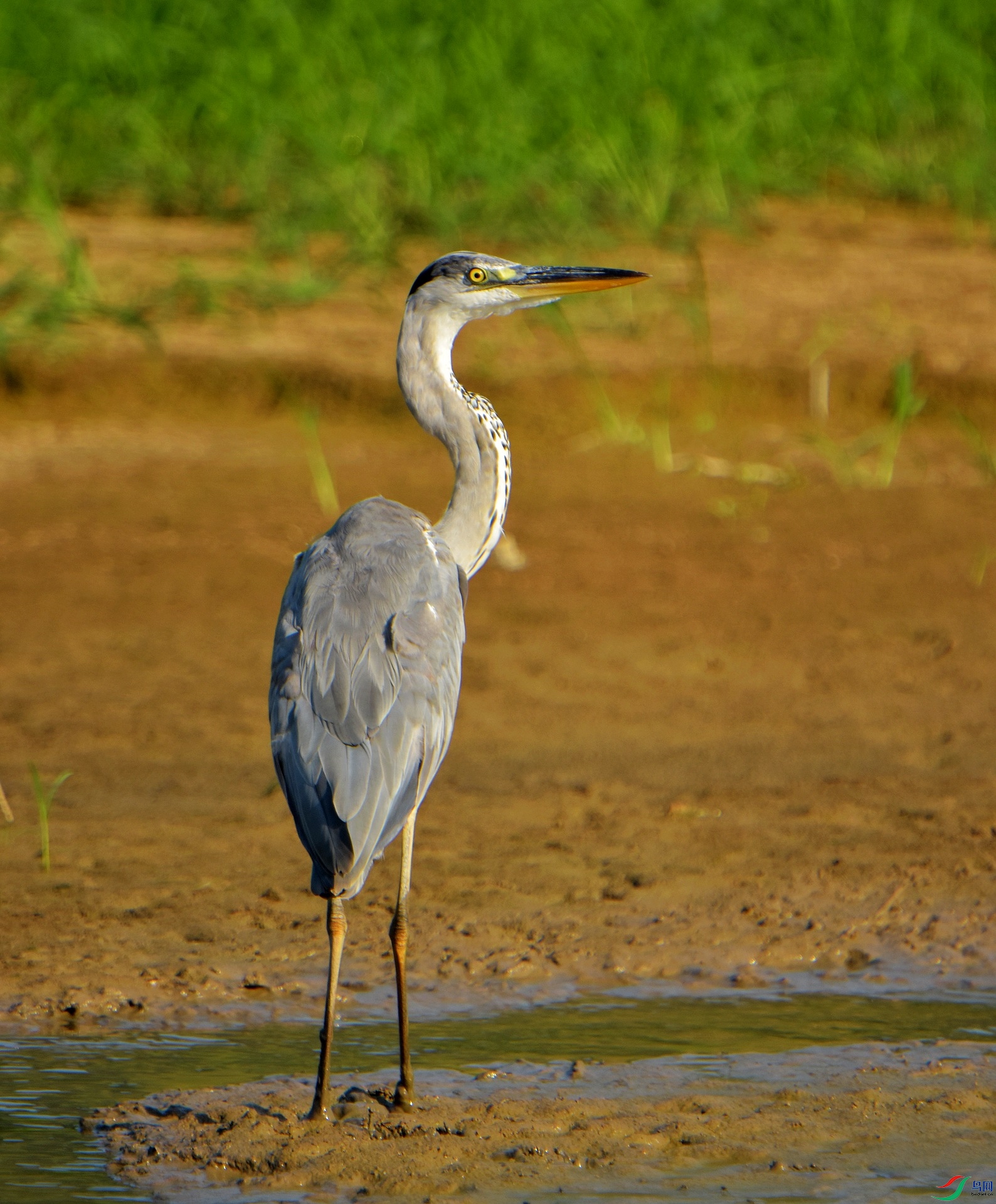 D72_5099.jpg