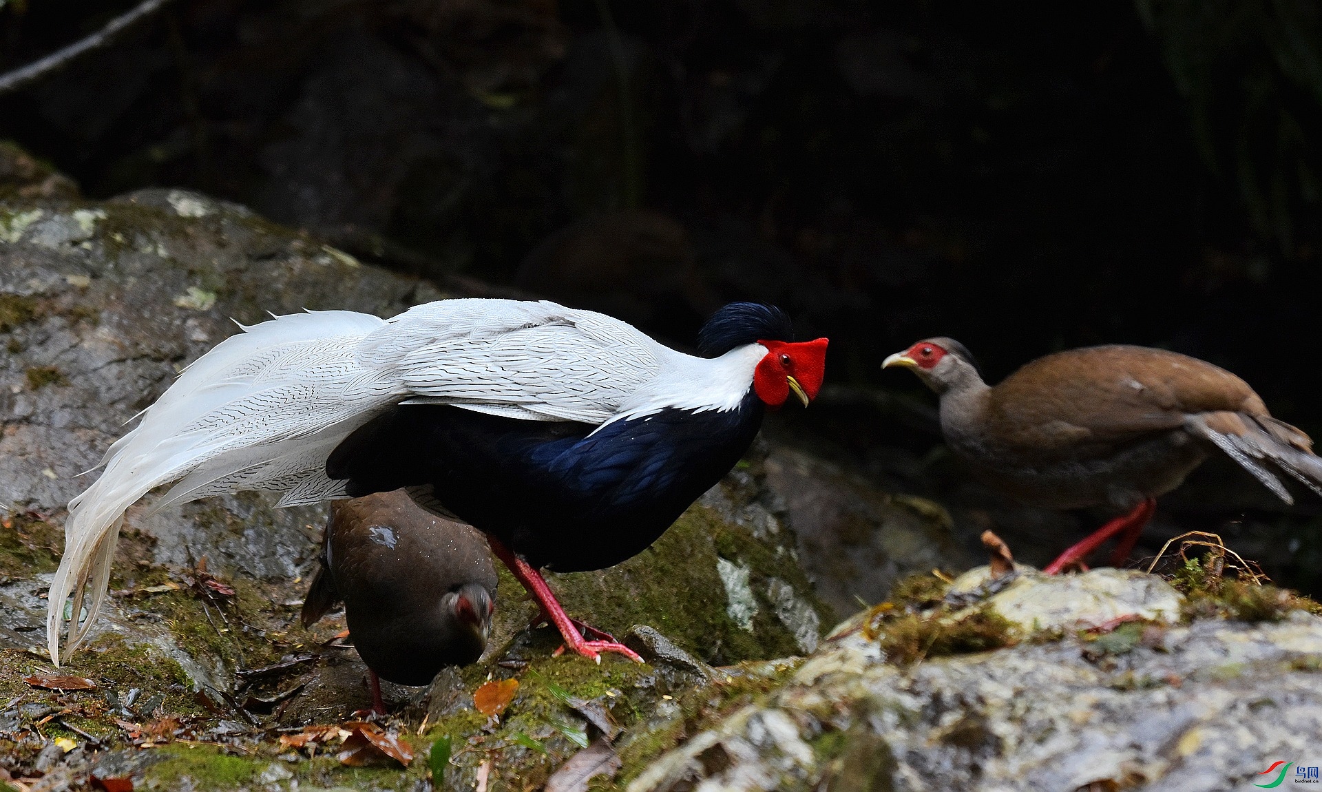D72_4551.jpg