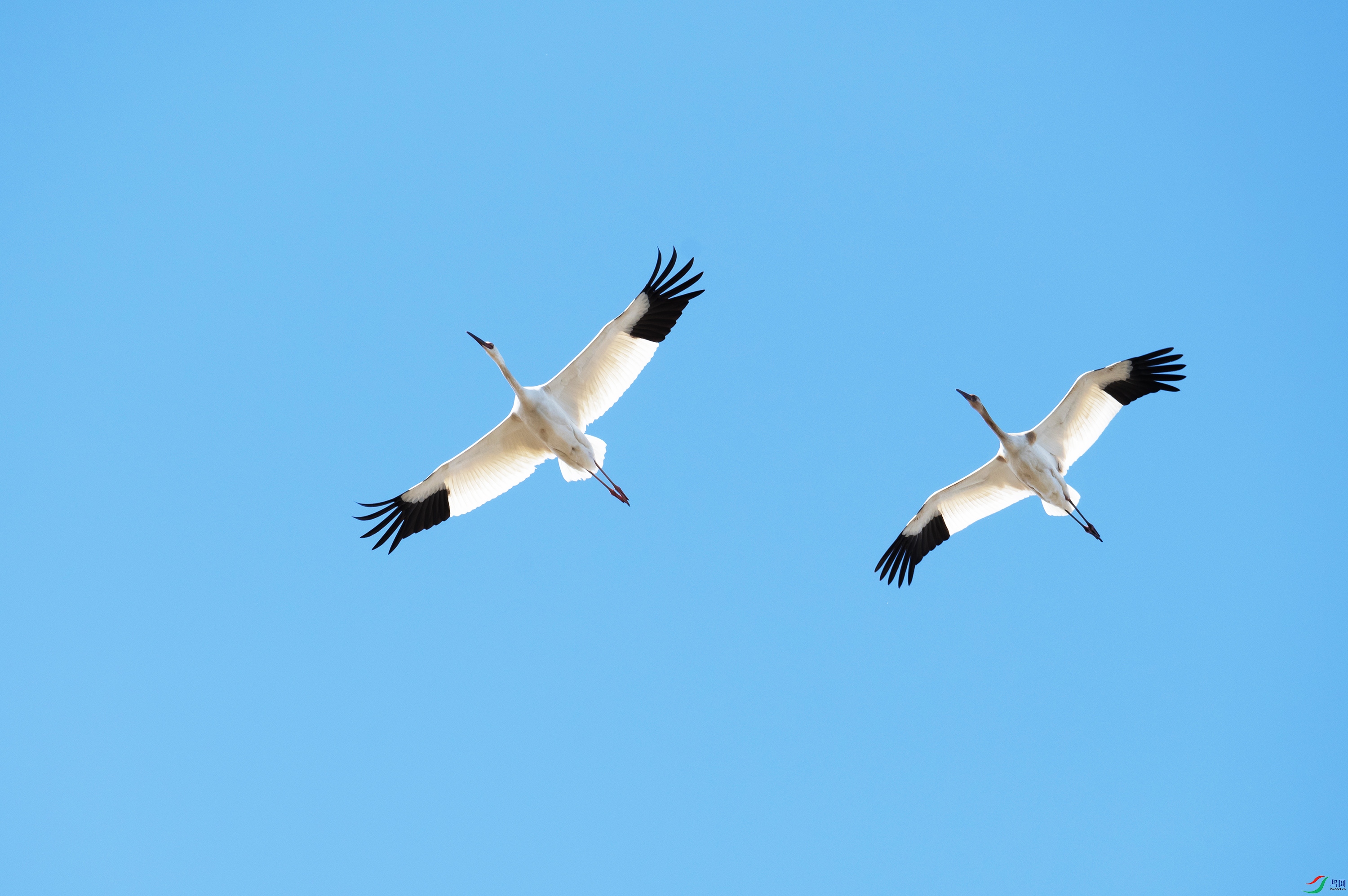 DSC_9380 ����.jpg