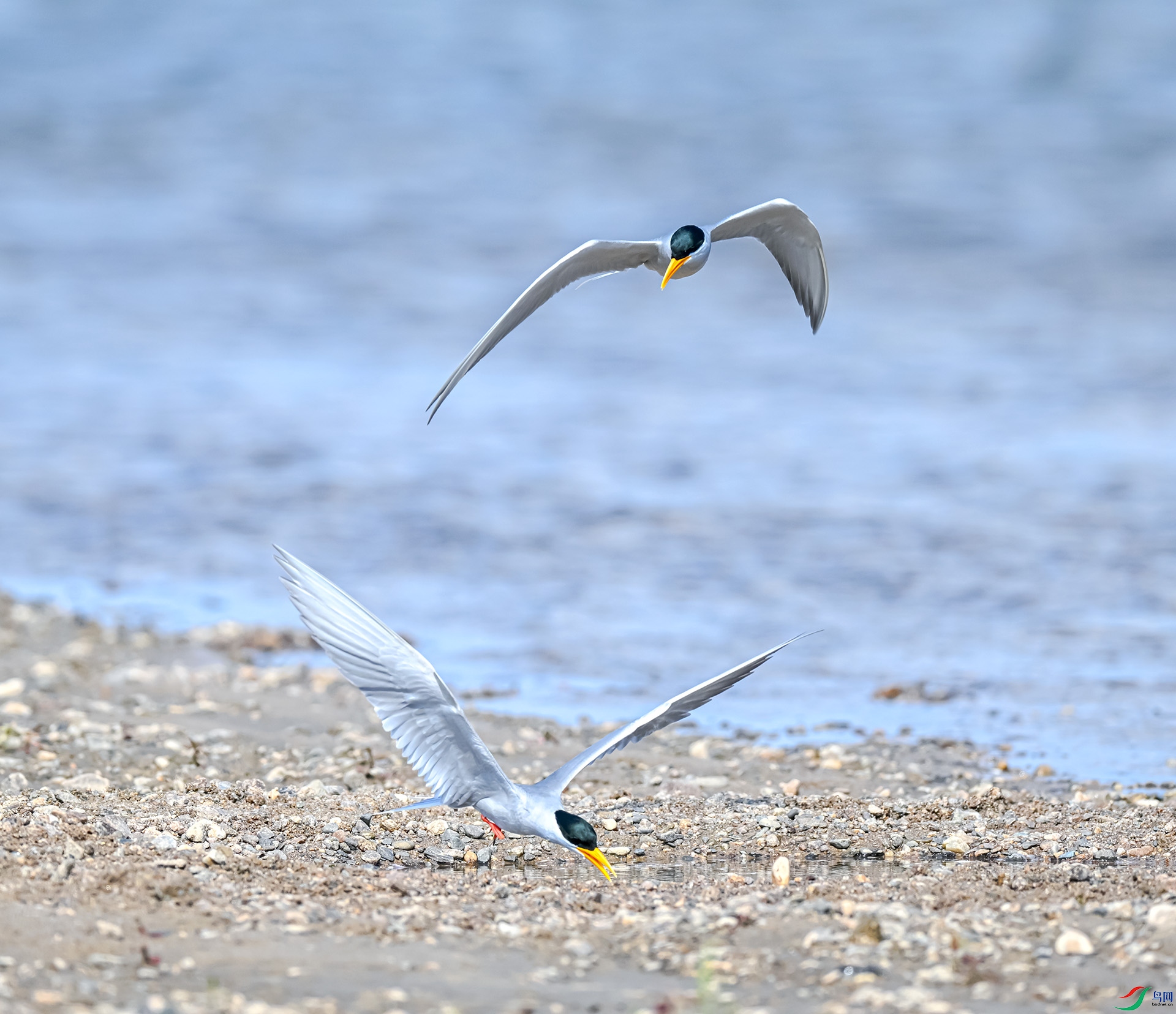 �������Ÿ